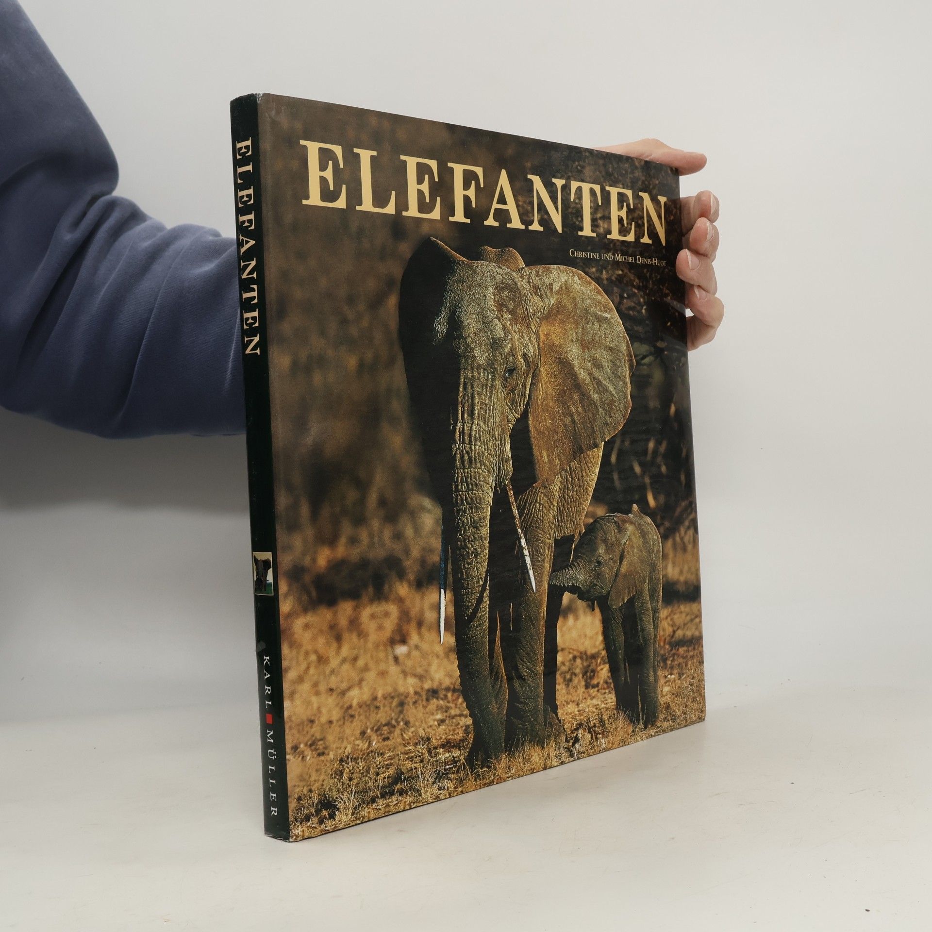 Elefanten