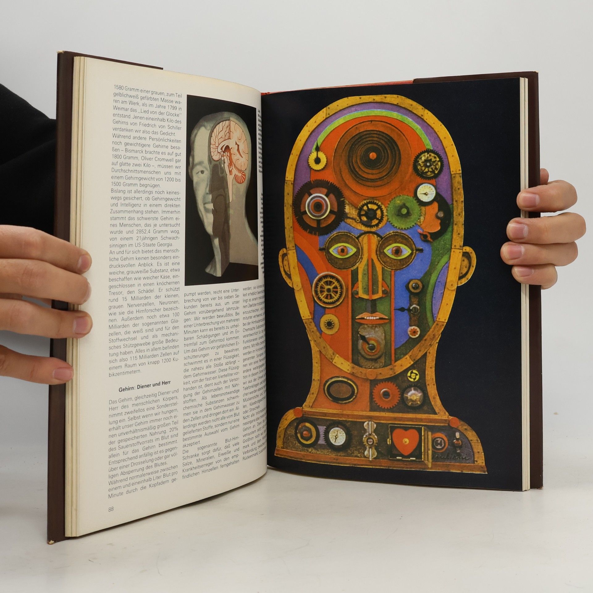 Collectif d'auteurs Wunder Mensch