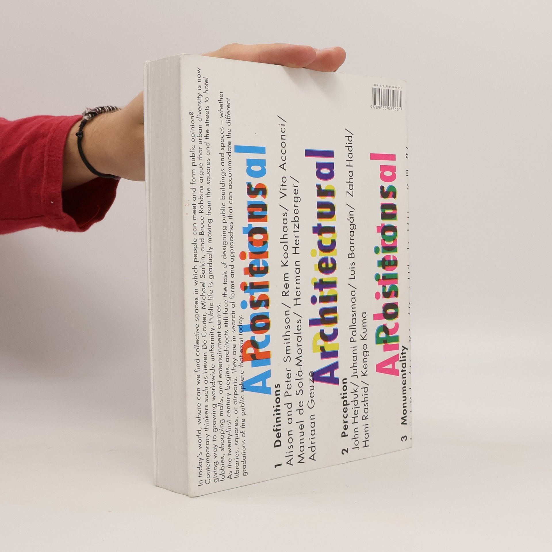 Tom Avermaete Architectural Positions