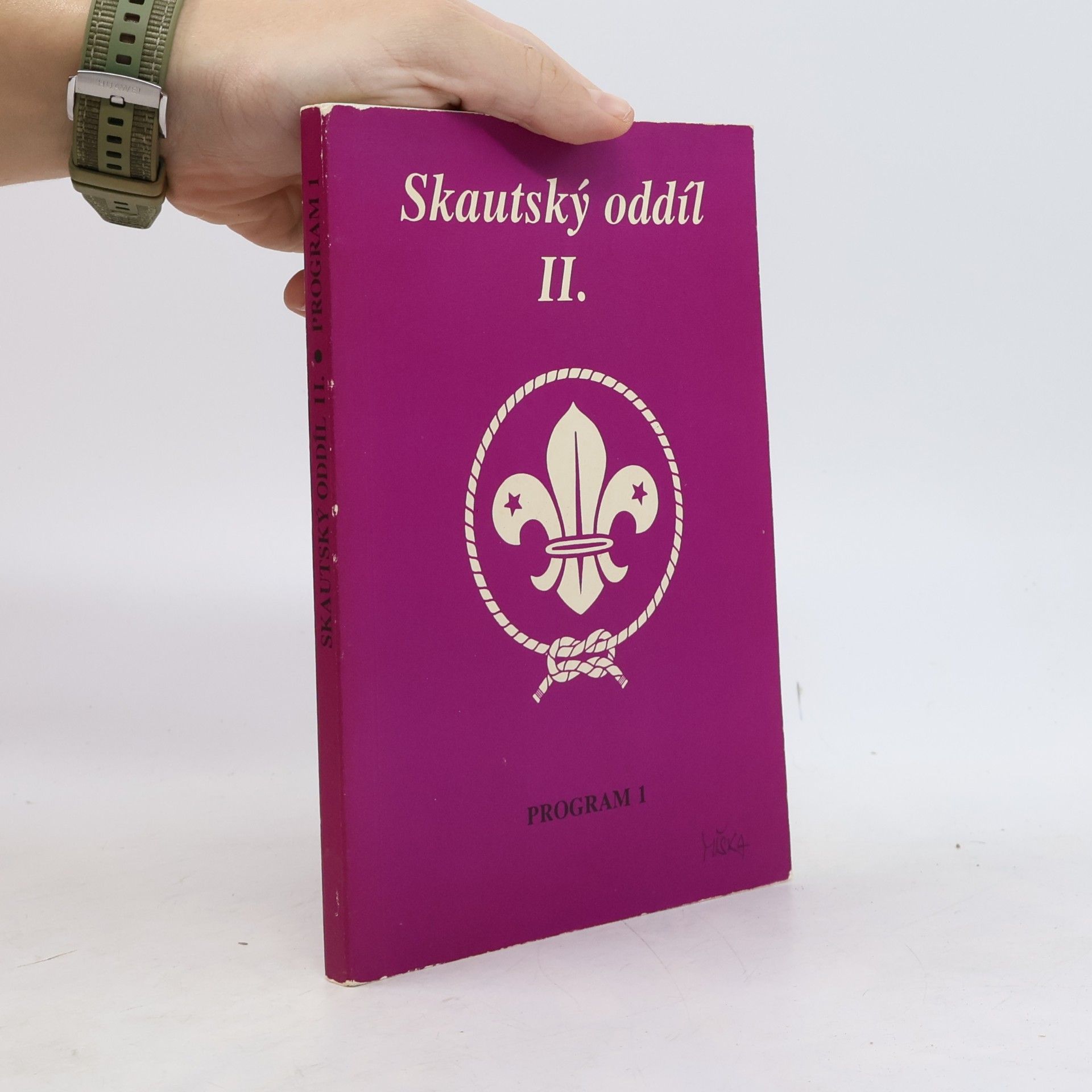 Skautský oddíl. II., Program 2.