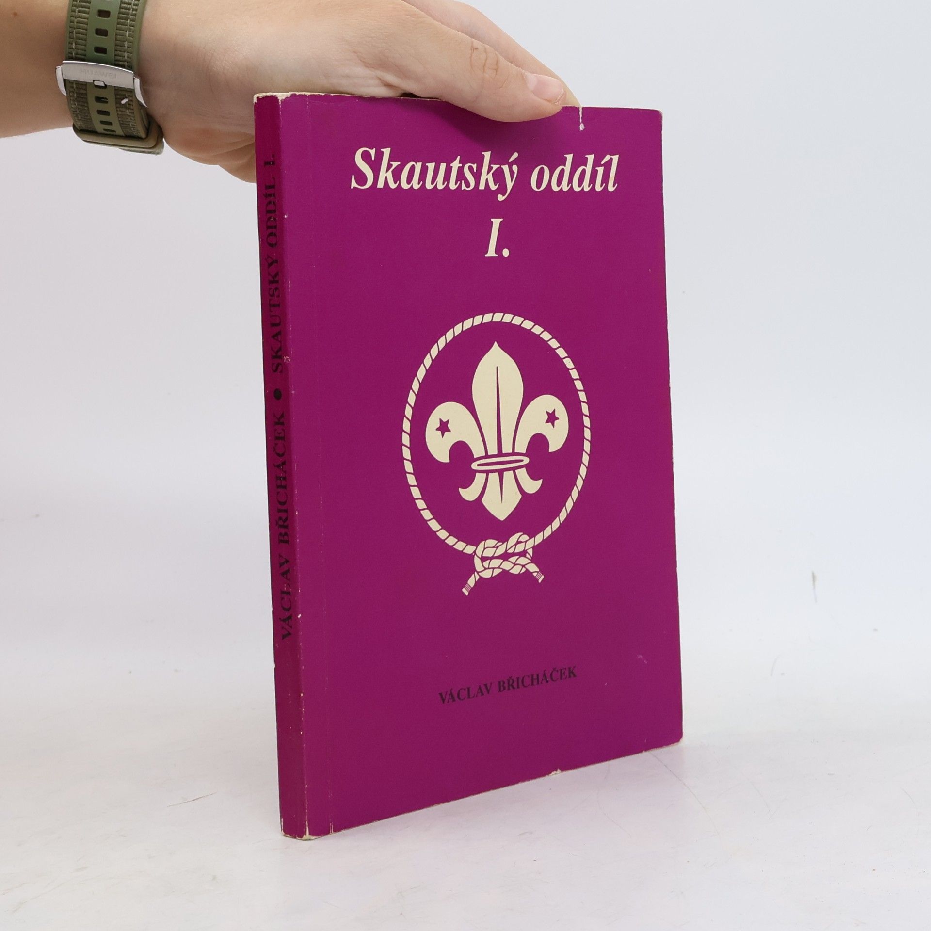Skautský oddíl. I