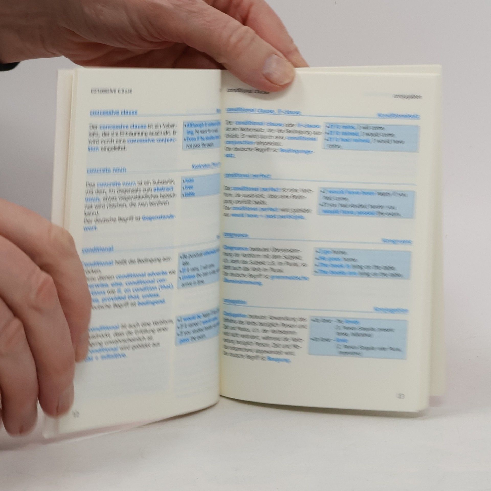 Robert Sievers Grammatische Fachausdrücke Englisch