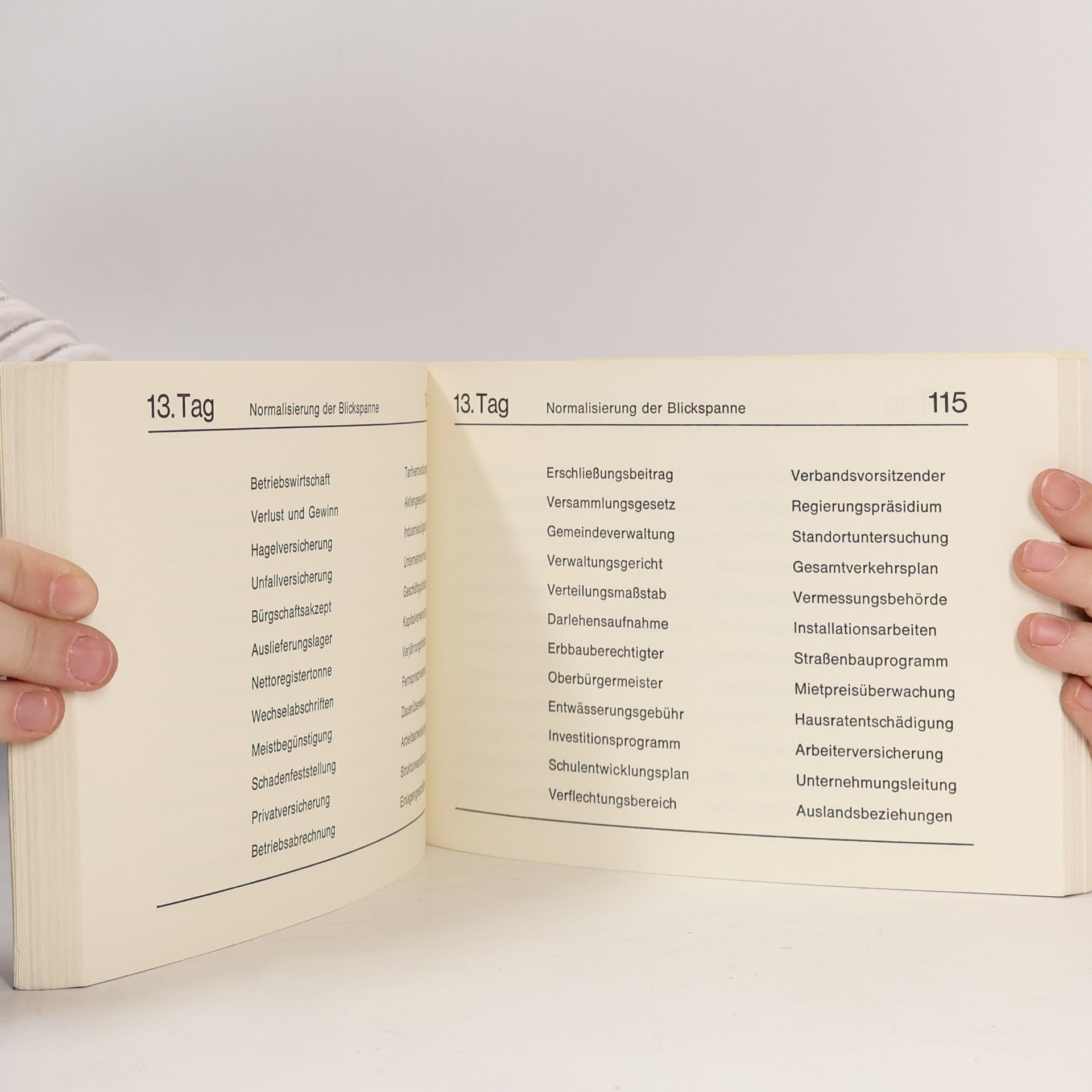 Ernst Ott Optimales Lesen