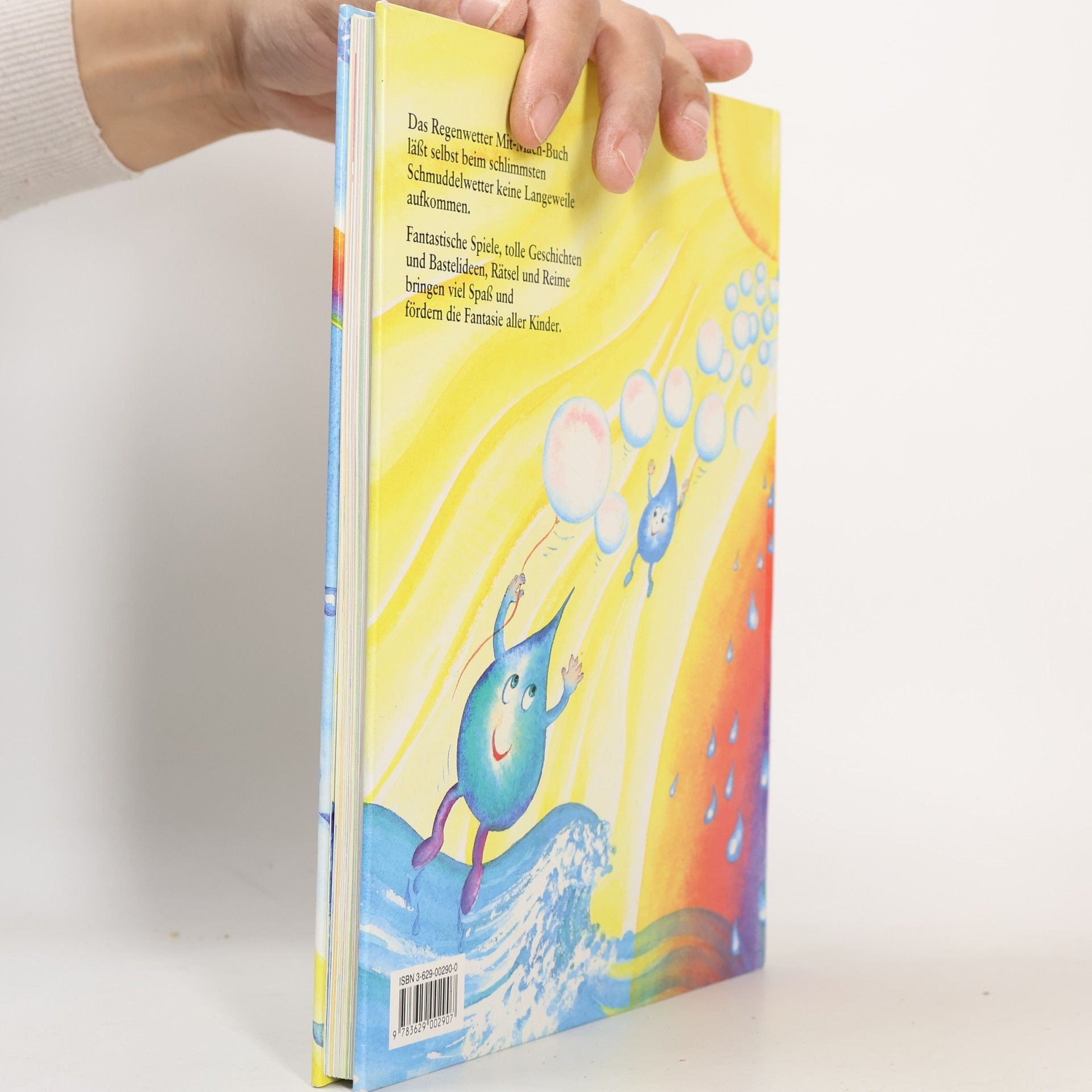 Heidemarie Brosche Das Regenwetter-Mit-Mach-Buch