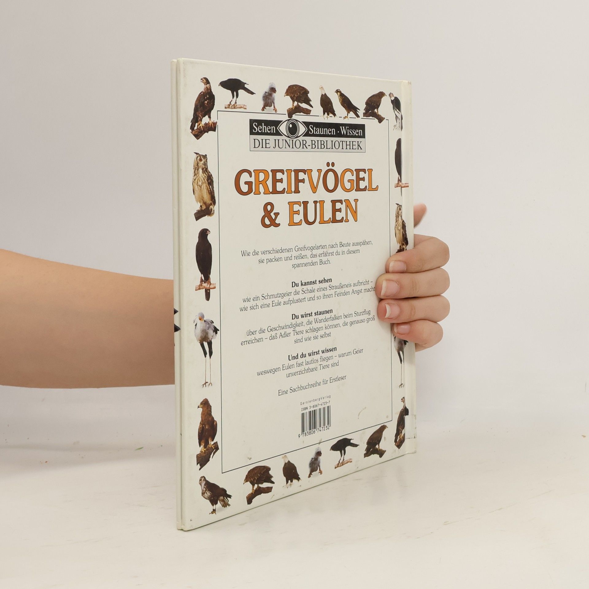 Jemima Parry Jones Sehen Staunen Wissen: Die Junior-Bibliothek: Greifvögel & Eulen