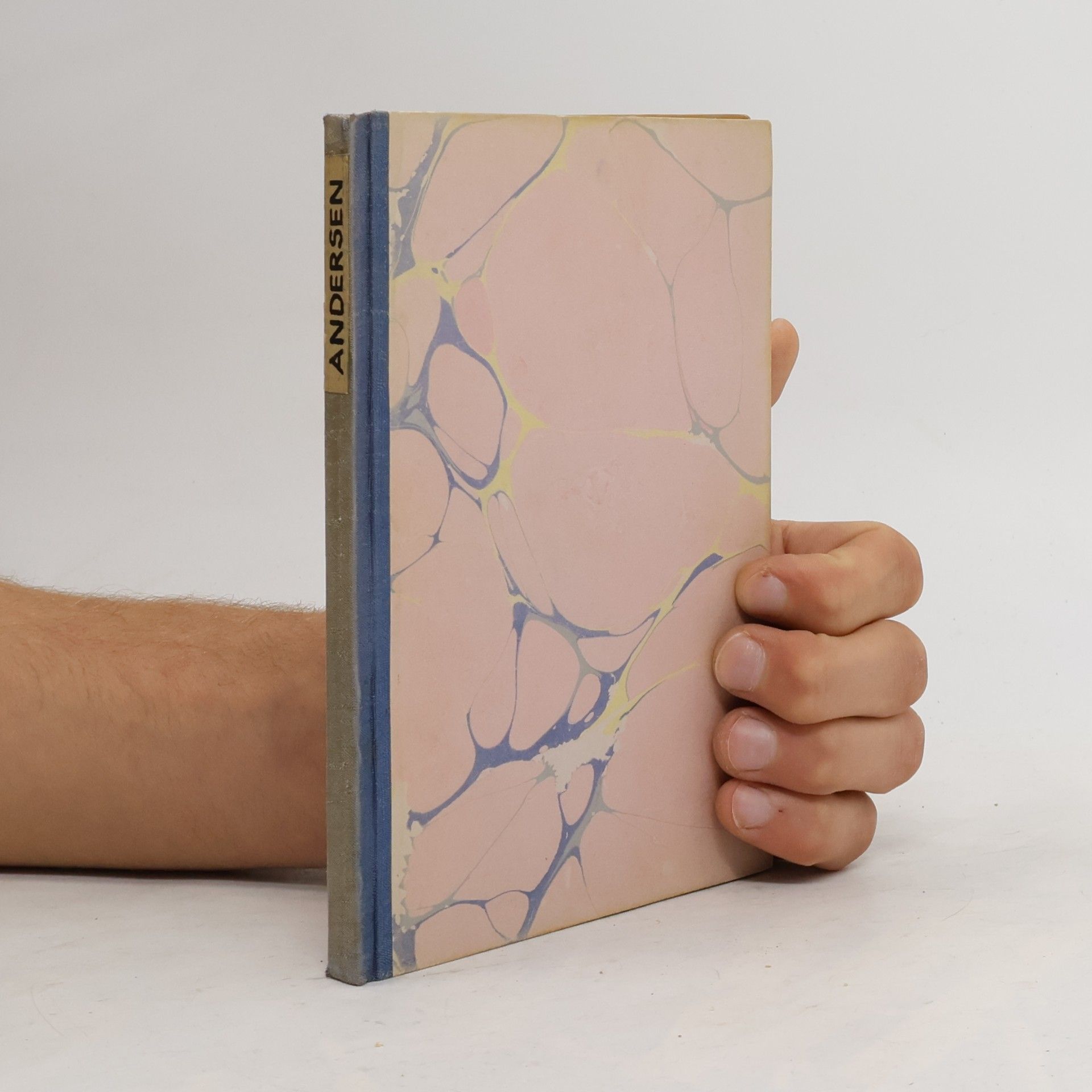 Hans Christian Andersen Bilderbuch ohne Bilder