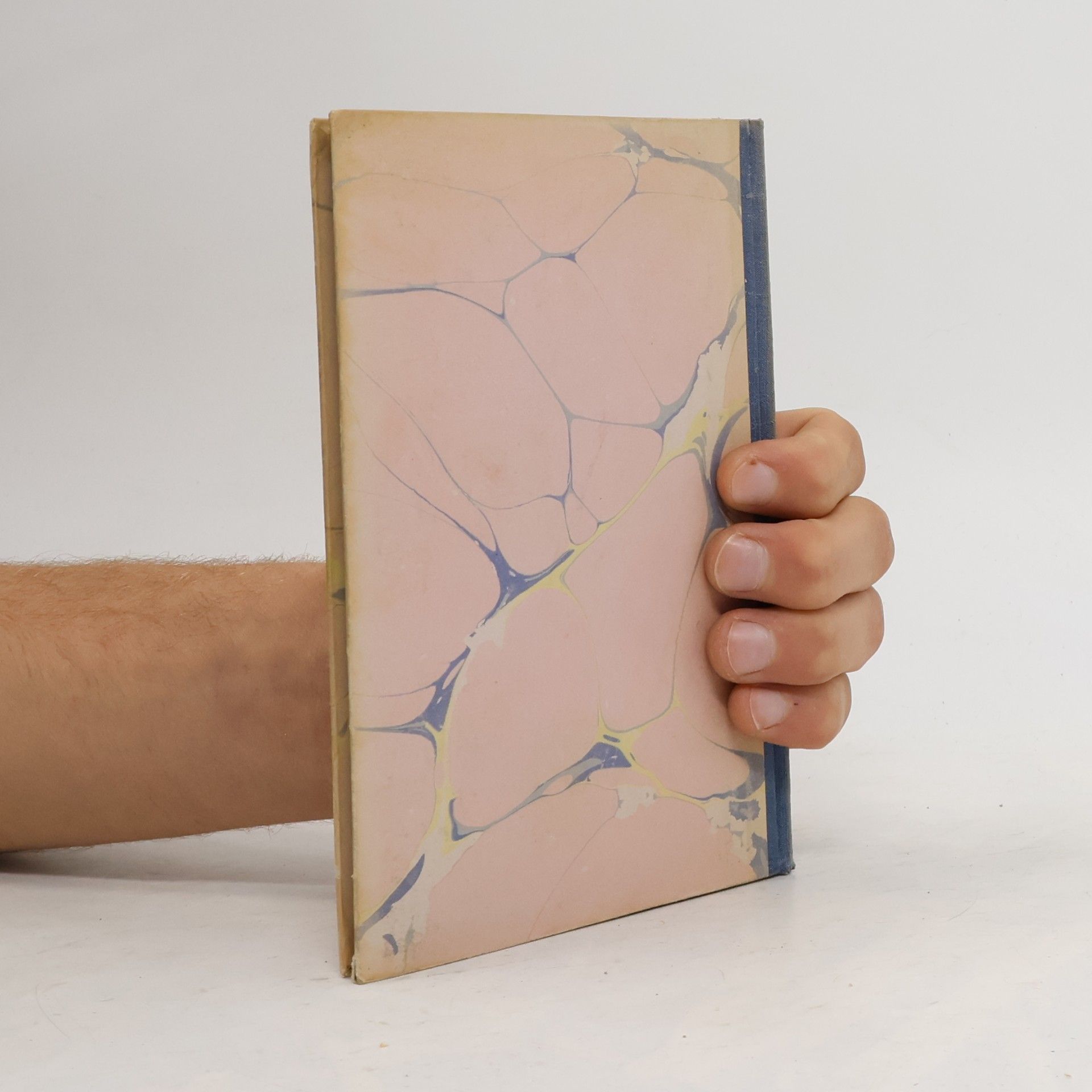 Hans Christian Andersen Bilderbuch ohne Bilder