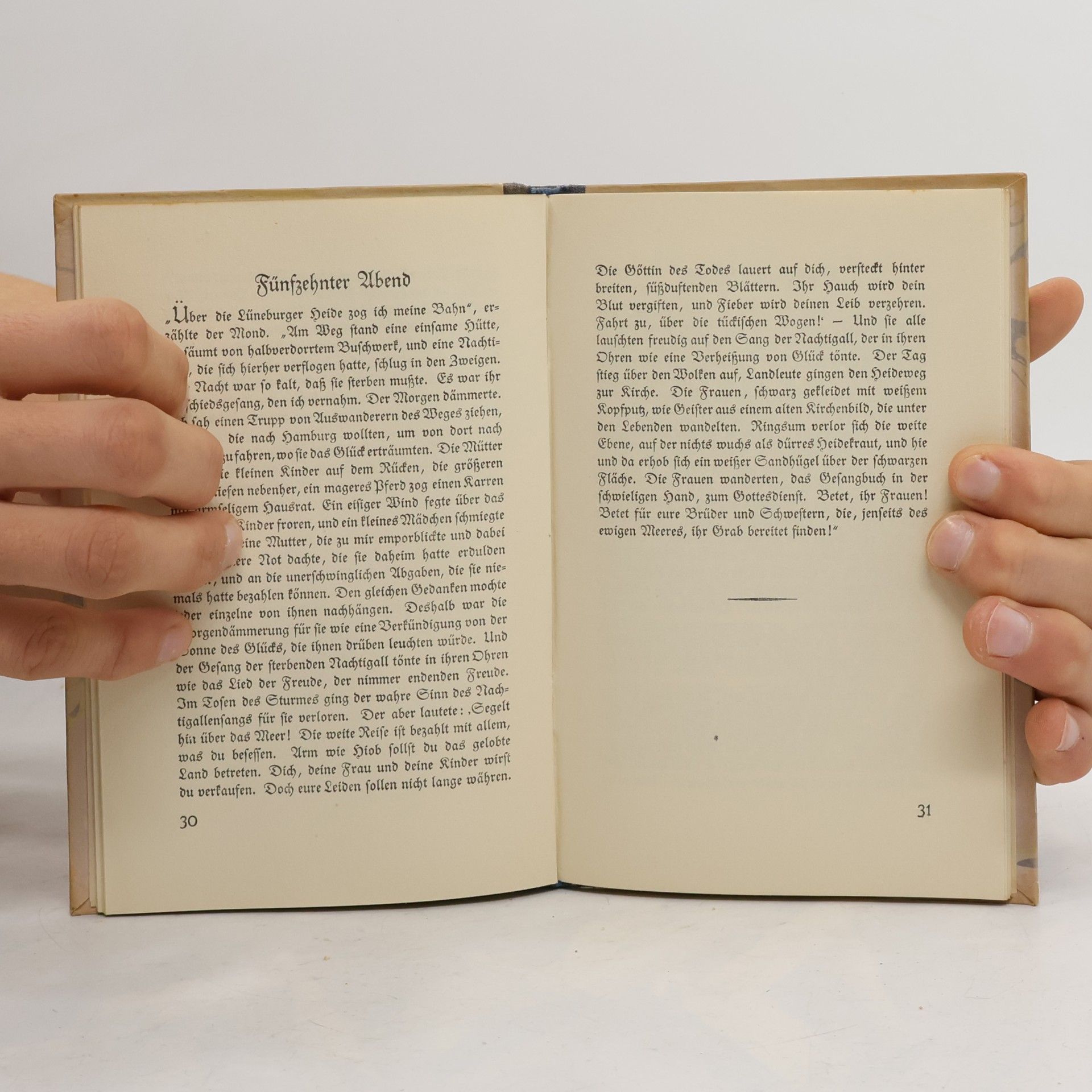 Hans Christian Andersen Bilderbuch ohne Bilder