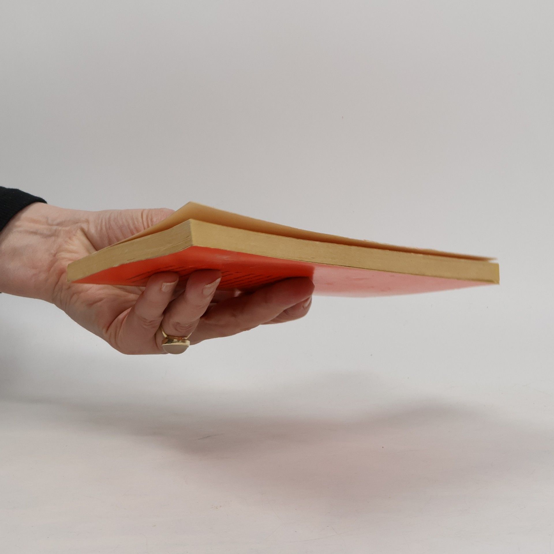 Various authors Physik I