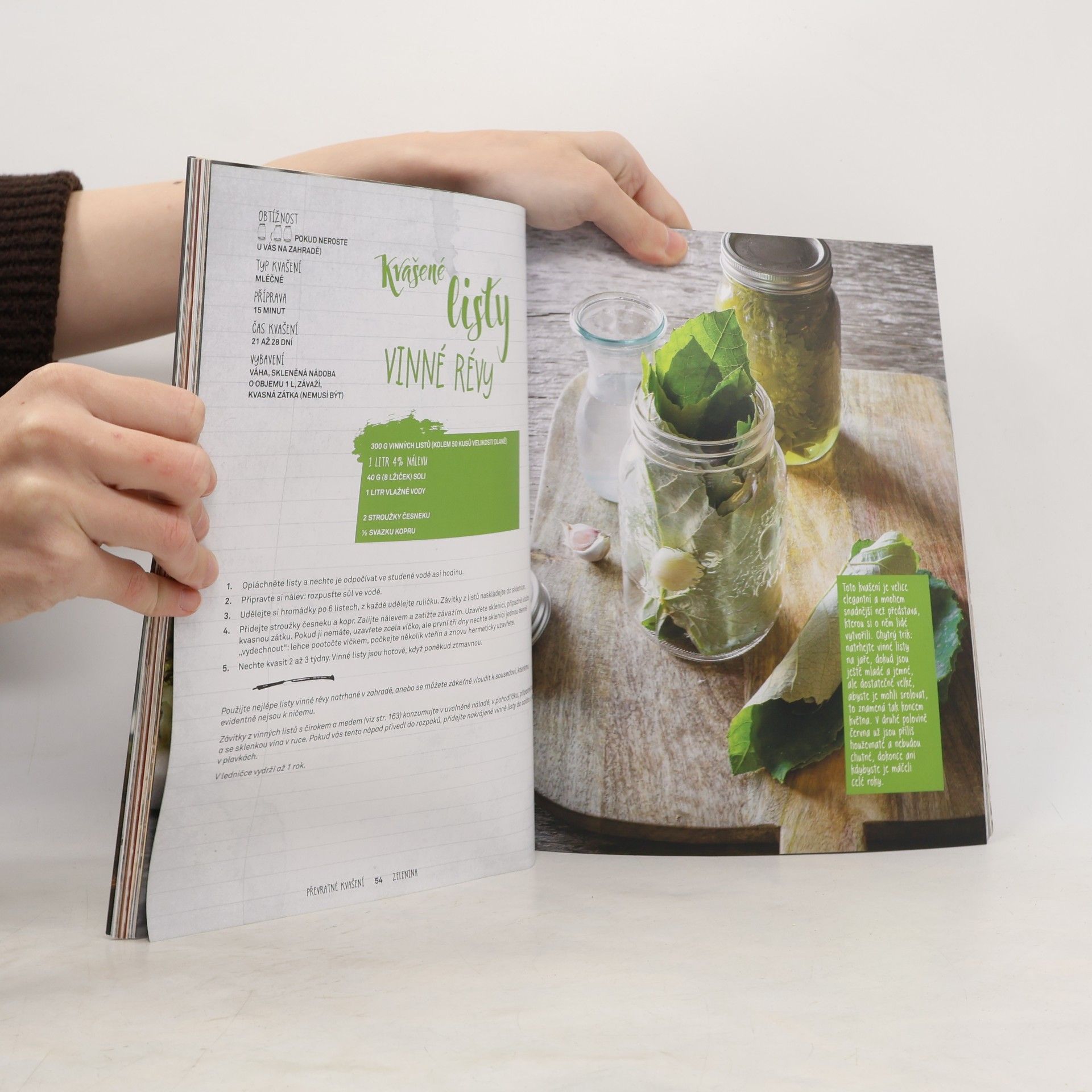Sébastien Bureau Převratné kvašení : kombucha, kefír, miso... : 70 receptů vždy po ruce