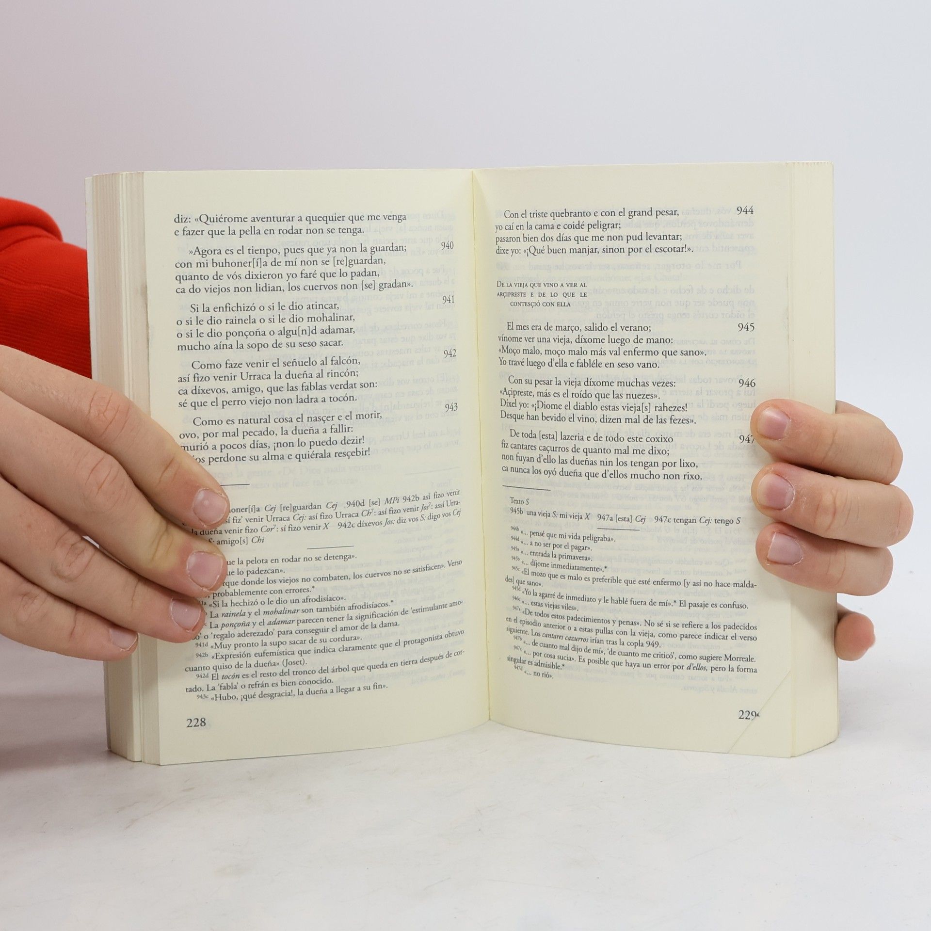Juan Ruiz Libro de buen amor