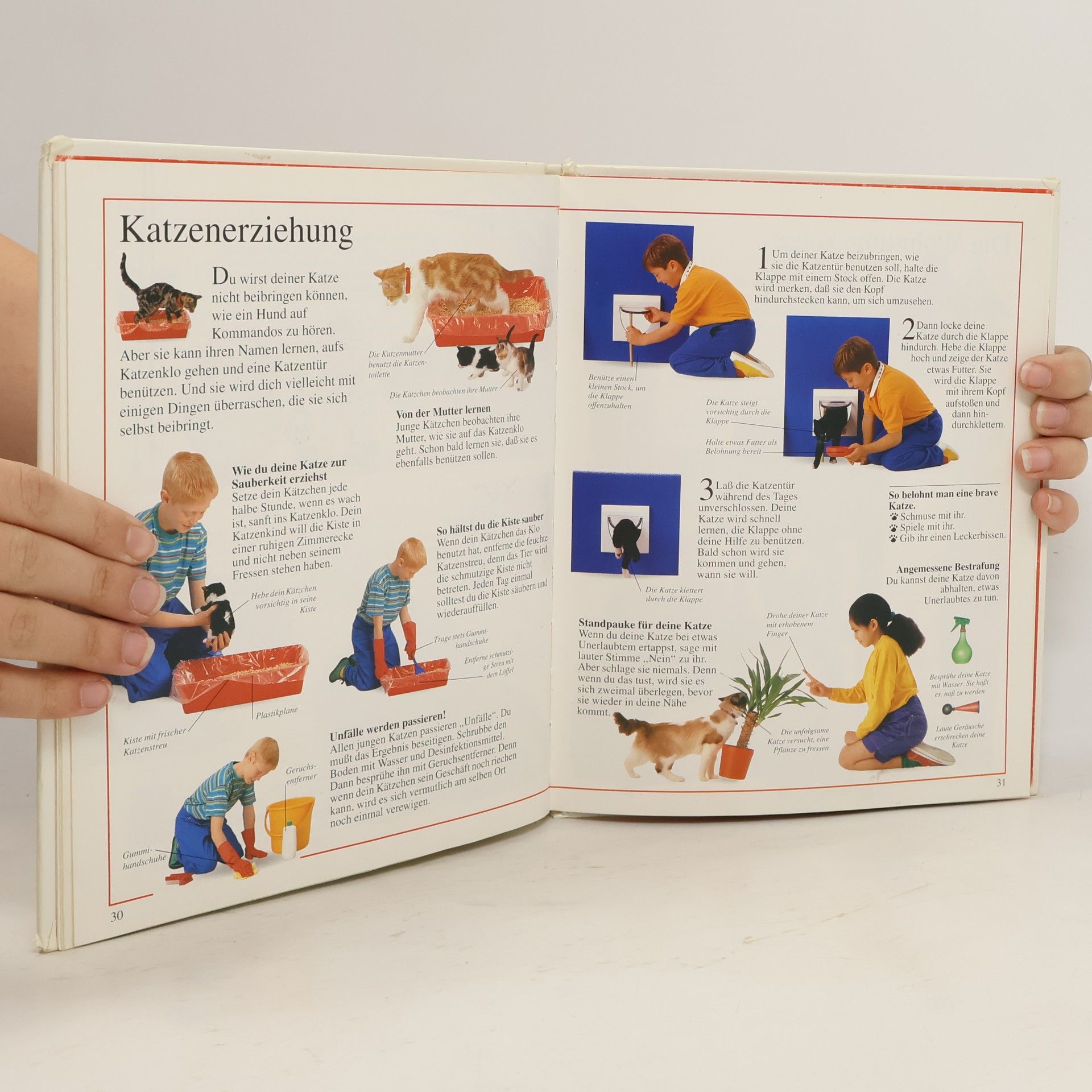 Various authors Haustiere für Kinder