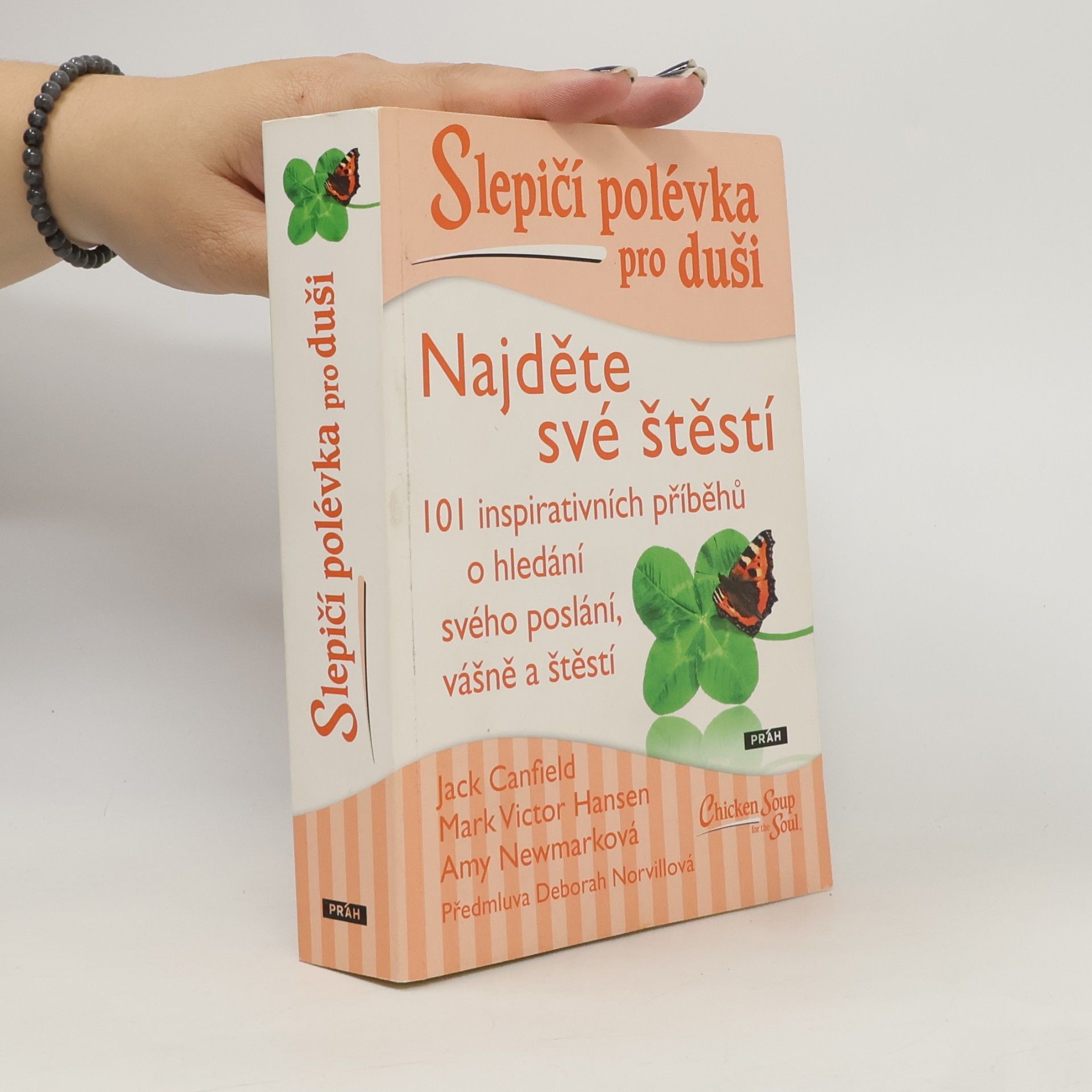 Slepičí polévka pro duši