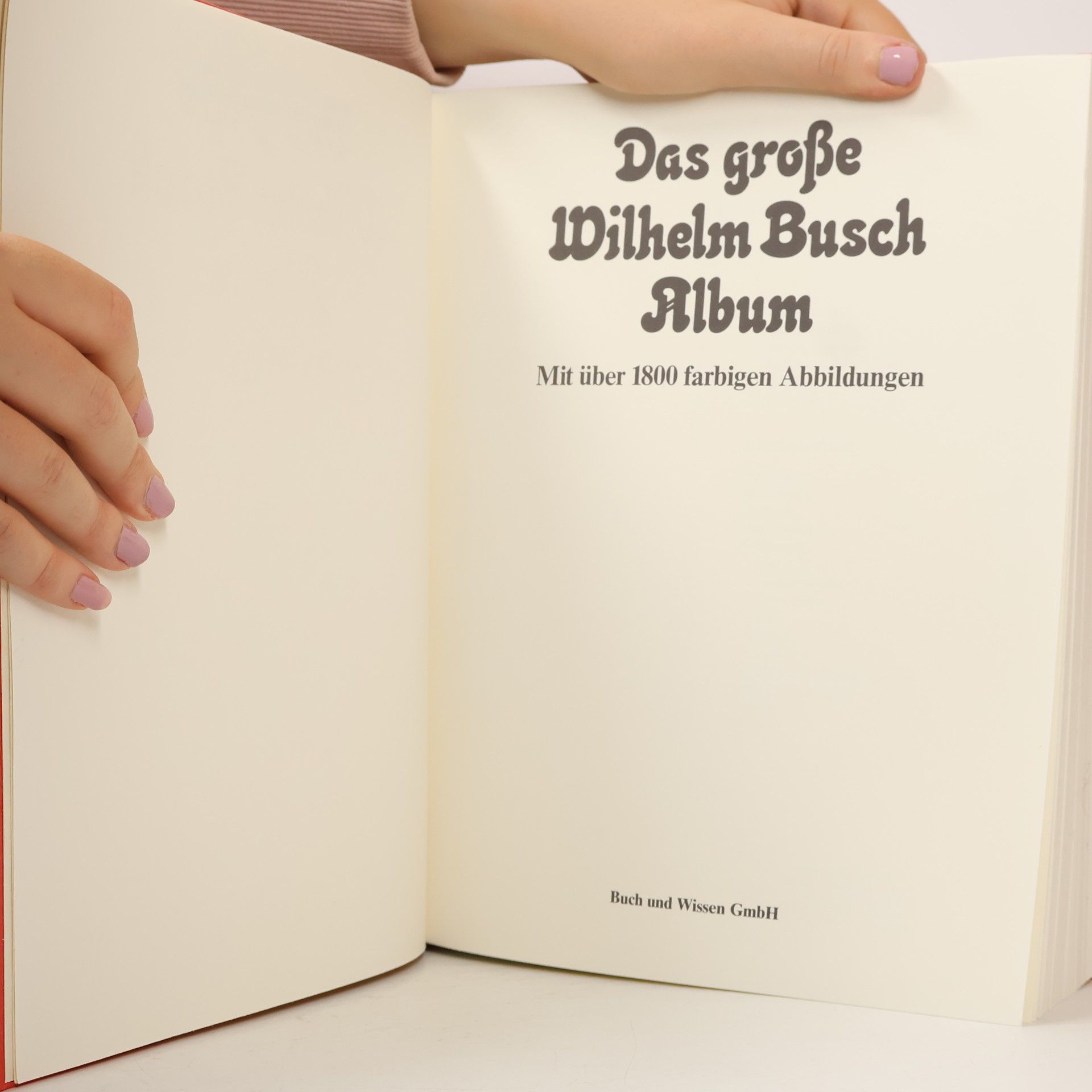 Wilhelm Busch Das grosse Wilhelm Busch Album