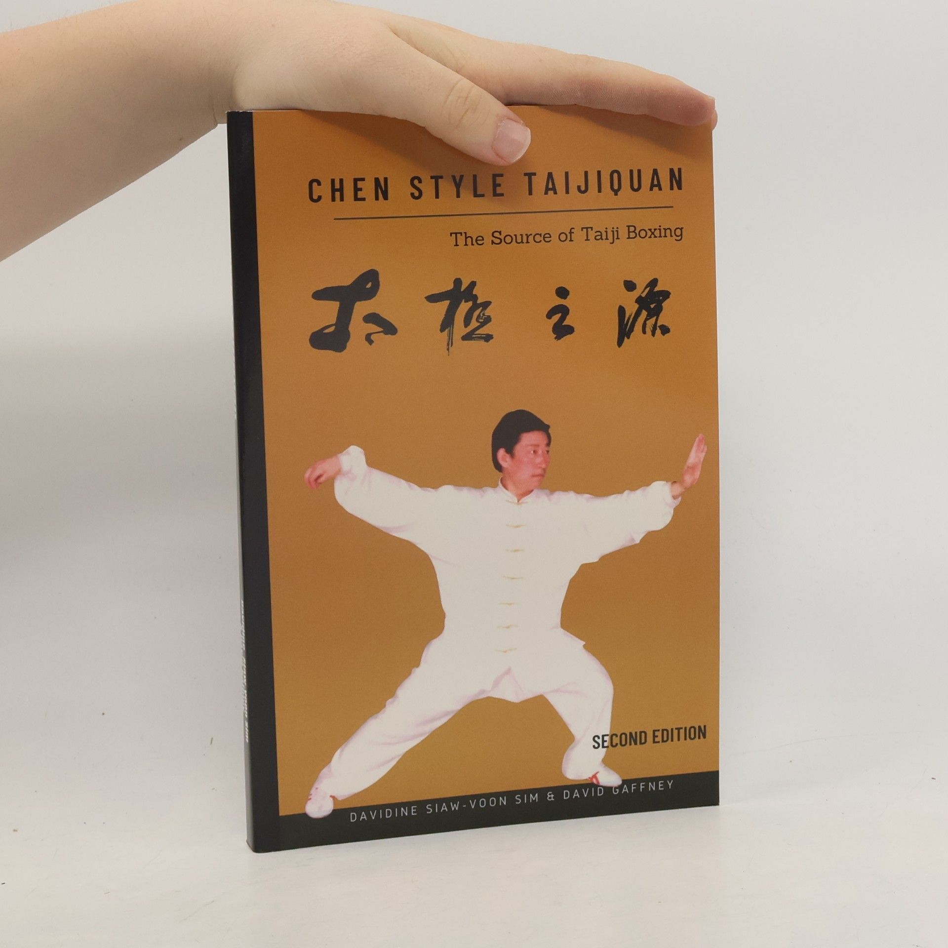 Chen Style Taijiquan