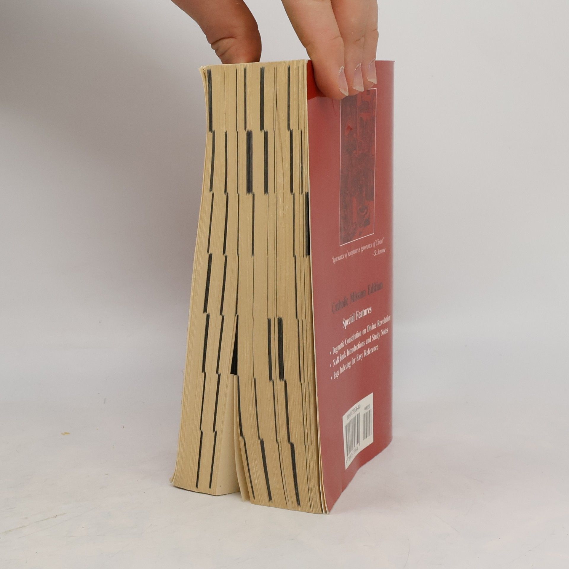 Anonymous Catholic Mission Bible