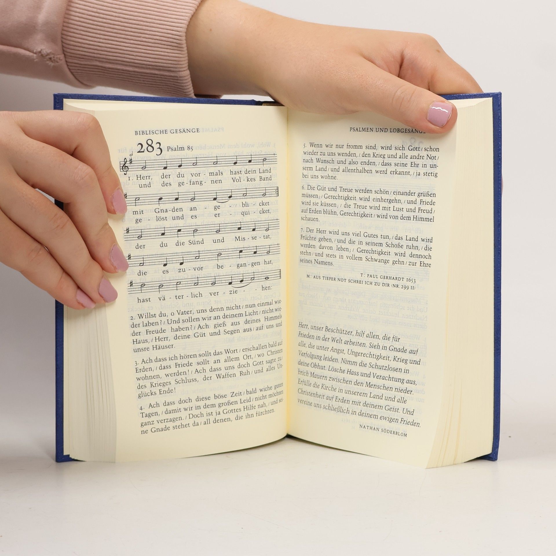 Kolektiv autorů Evangelisches Gesangbuch