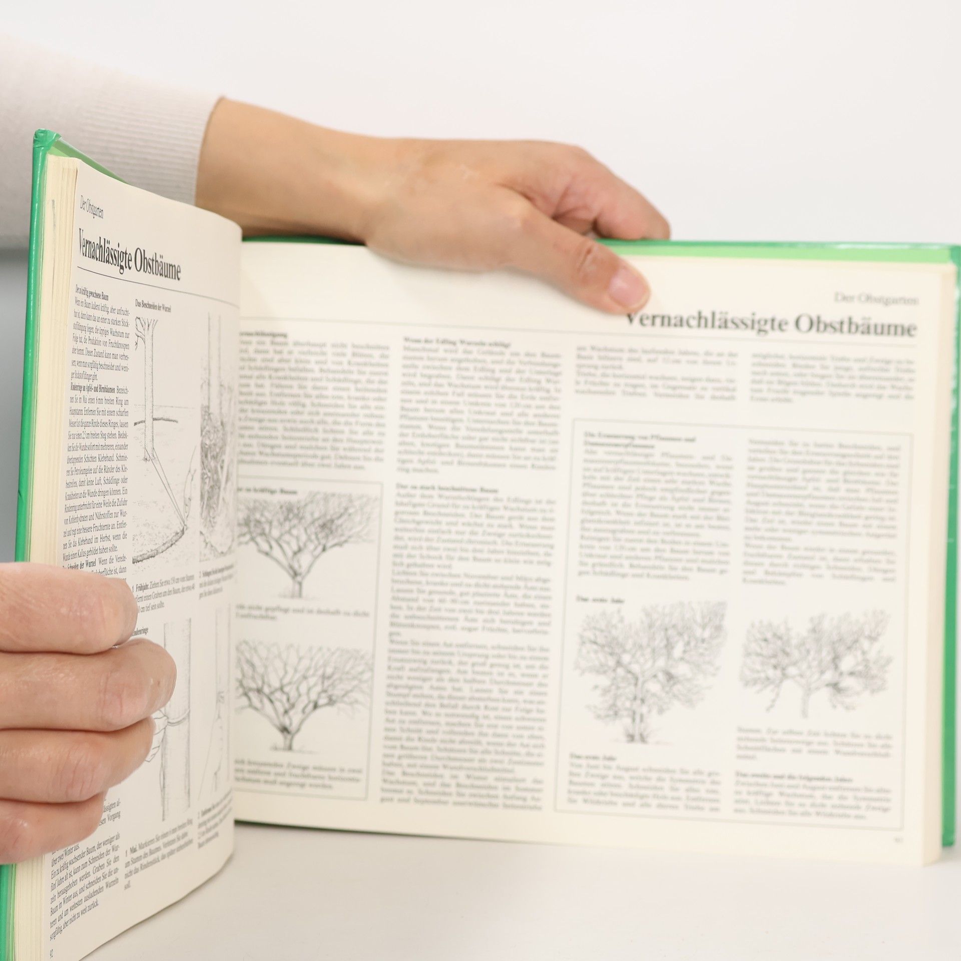 Christopher David Brickell Das grosse Gartenbuch