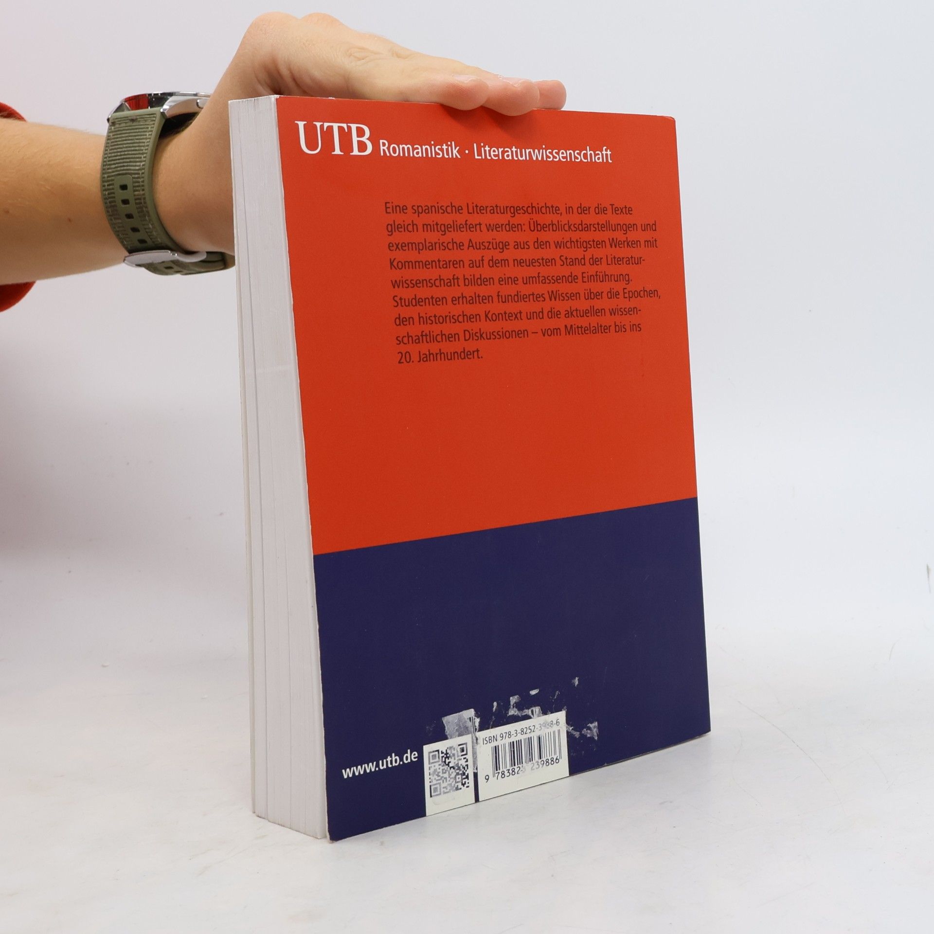 Carmen Rivero Iglesias Spanische Literaturgeschichte