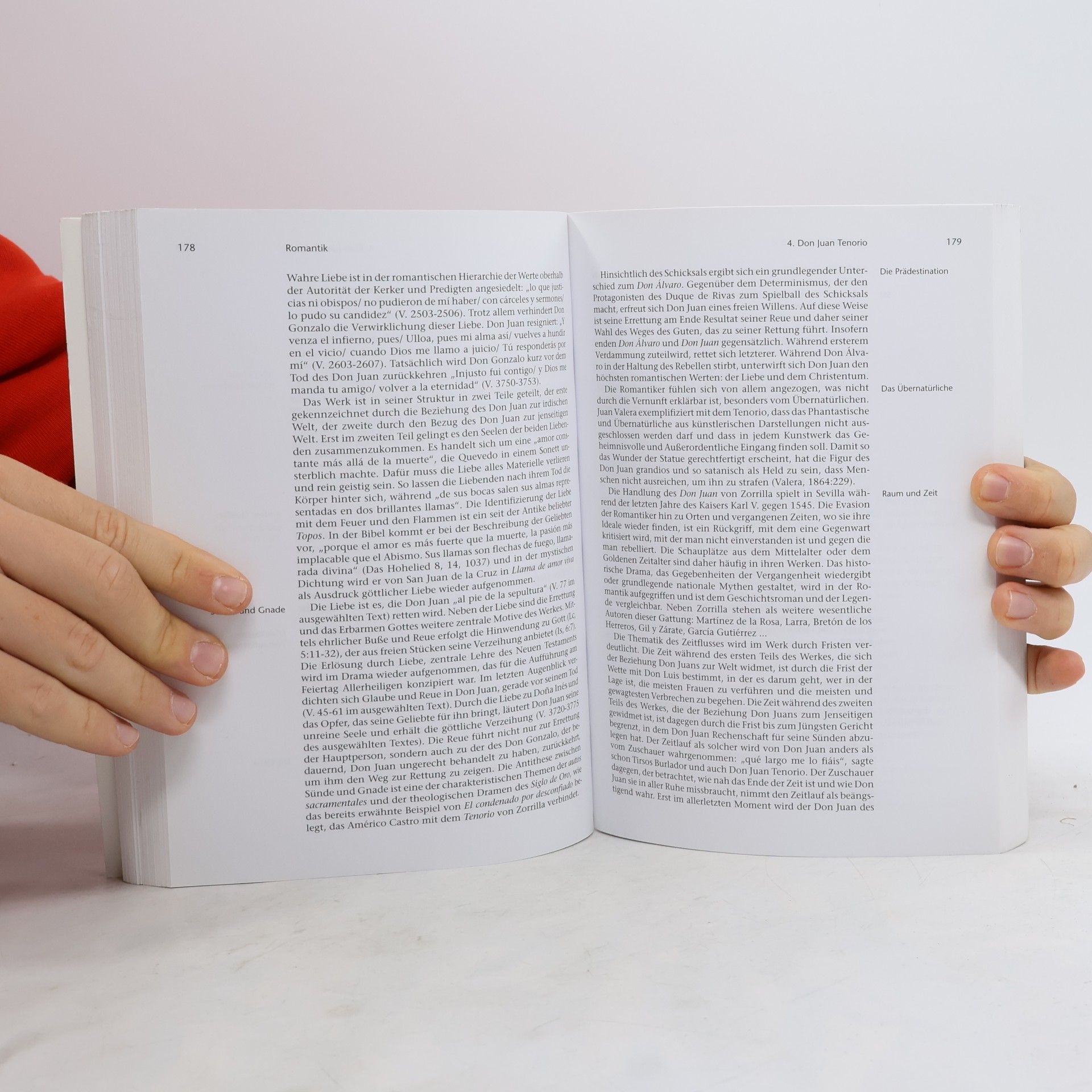 Carmen Rivero Iglesias Spanische Literaturgeschichte