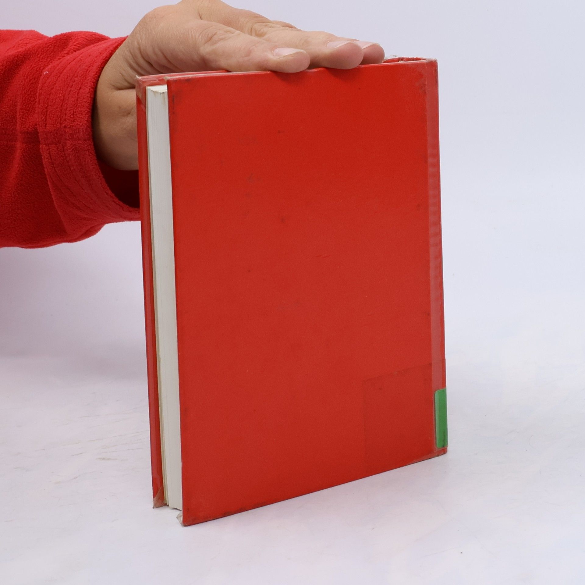 Dieter Schulze zur Wiesche GmbH-Taschenbuch