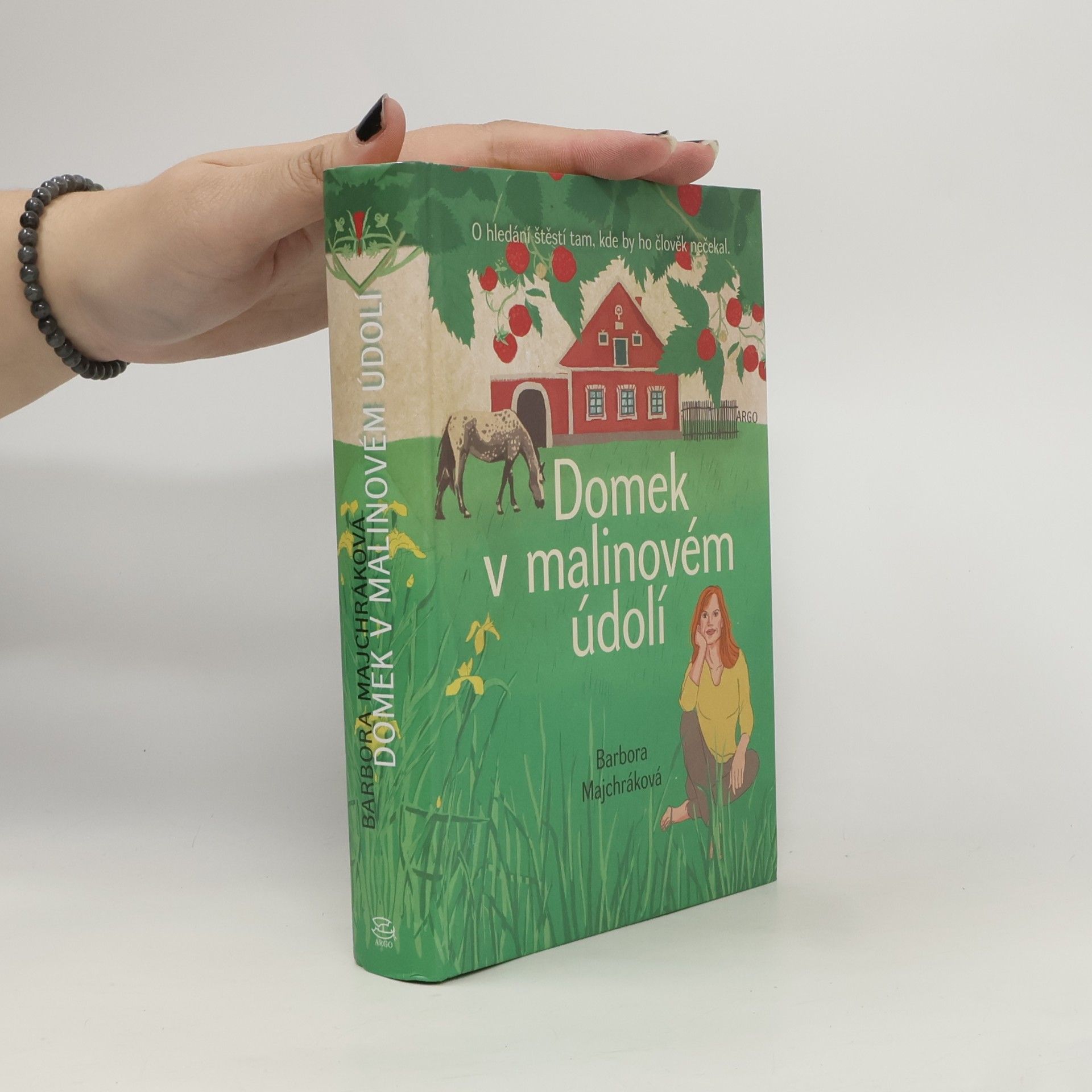 Domek v malinovém údolí