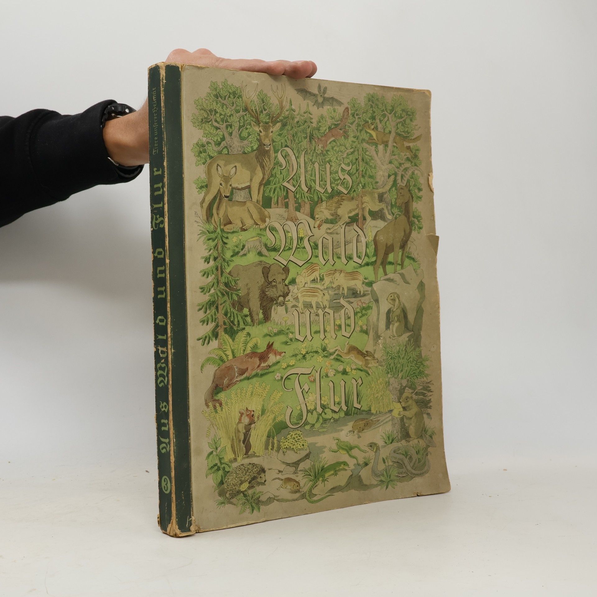 Autorenkollektiv Aus Wald und Flur