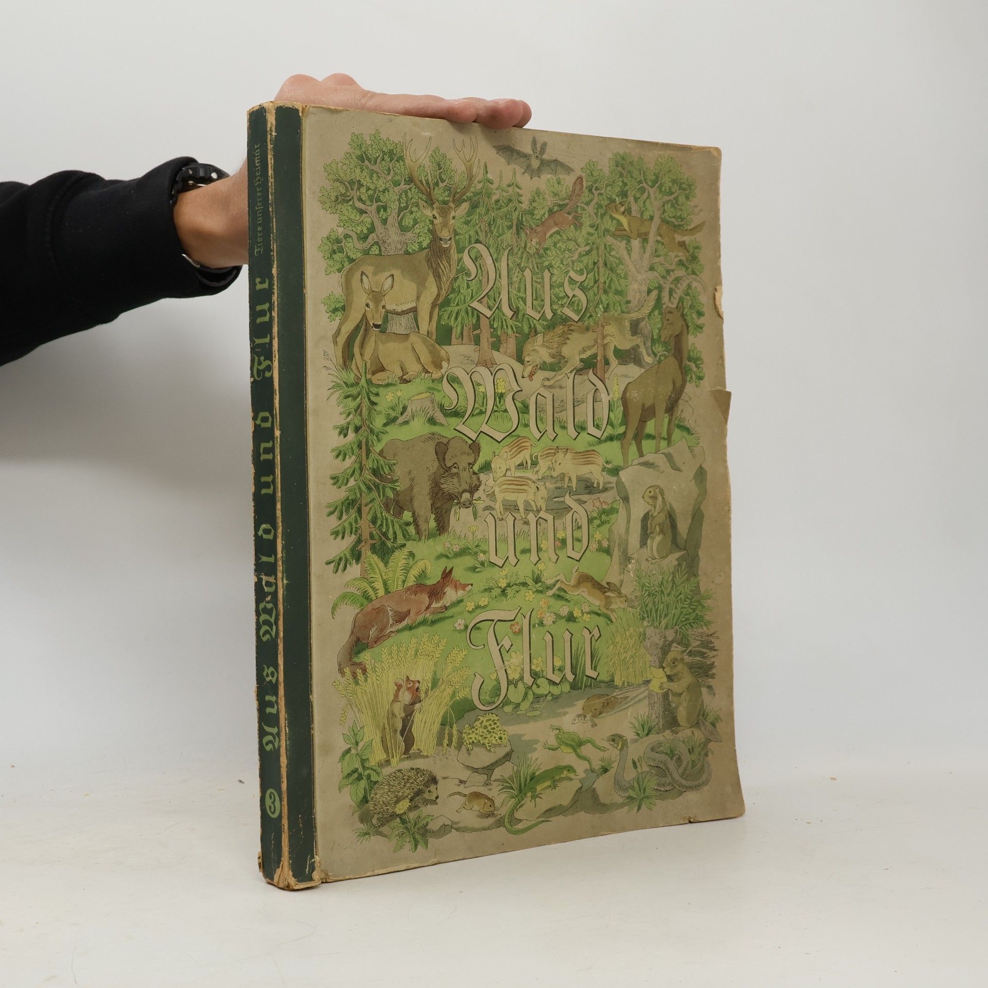 Autorenkollektiv Aus Wald und Flur
