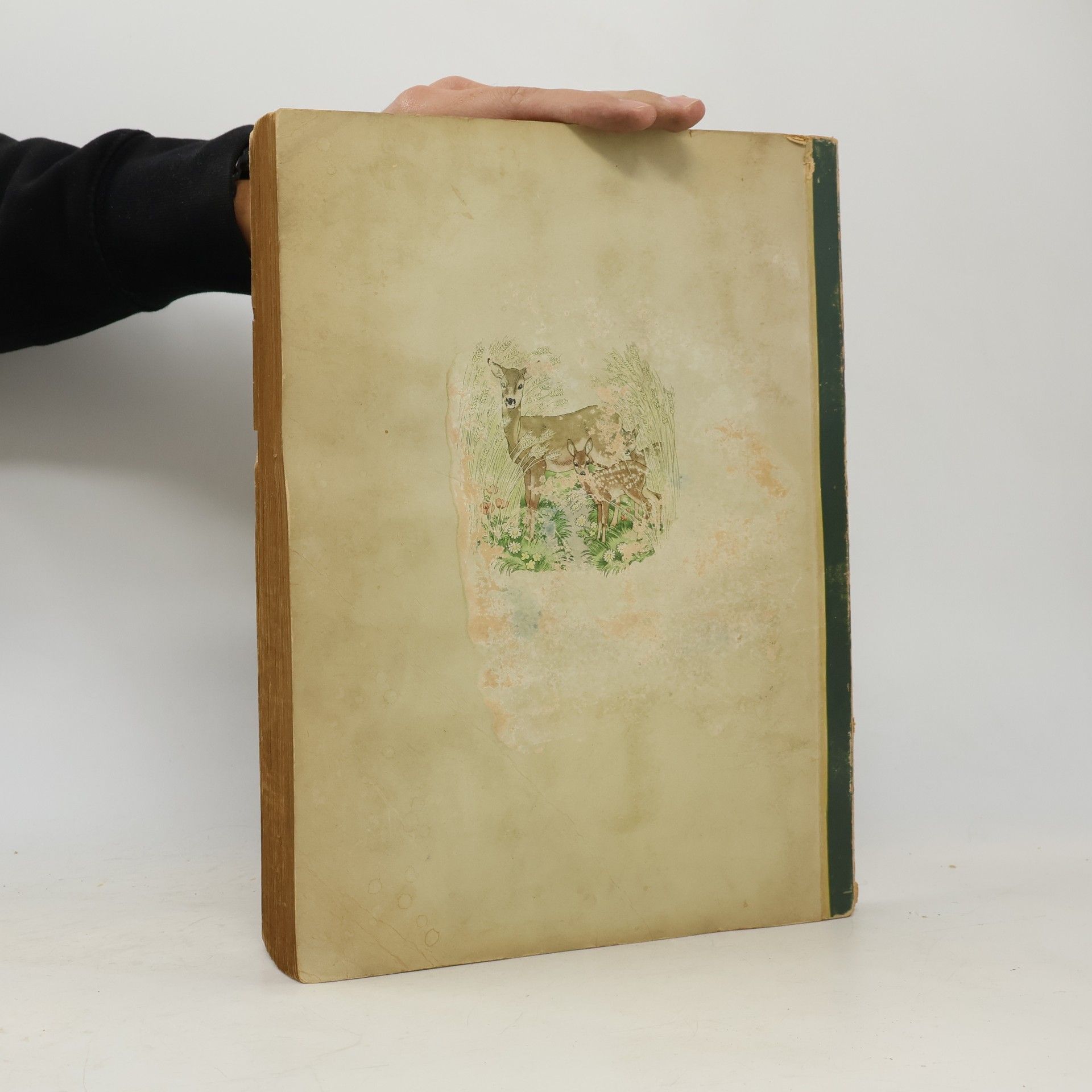 Autorenkollektiv Aus Wald und Flur