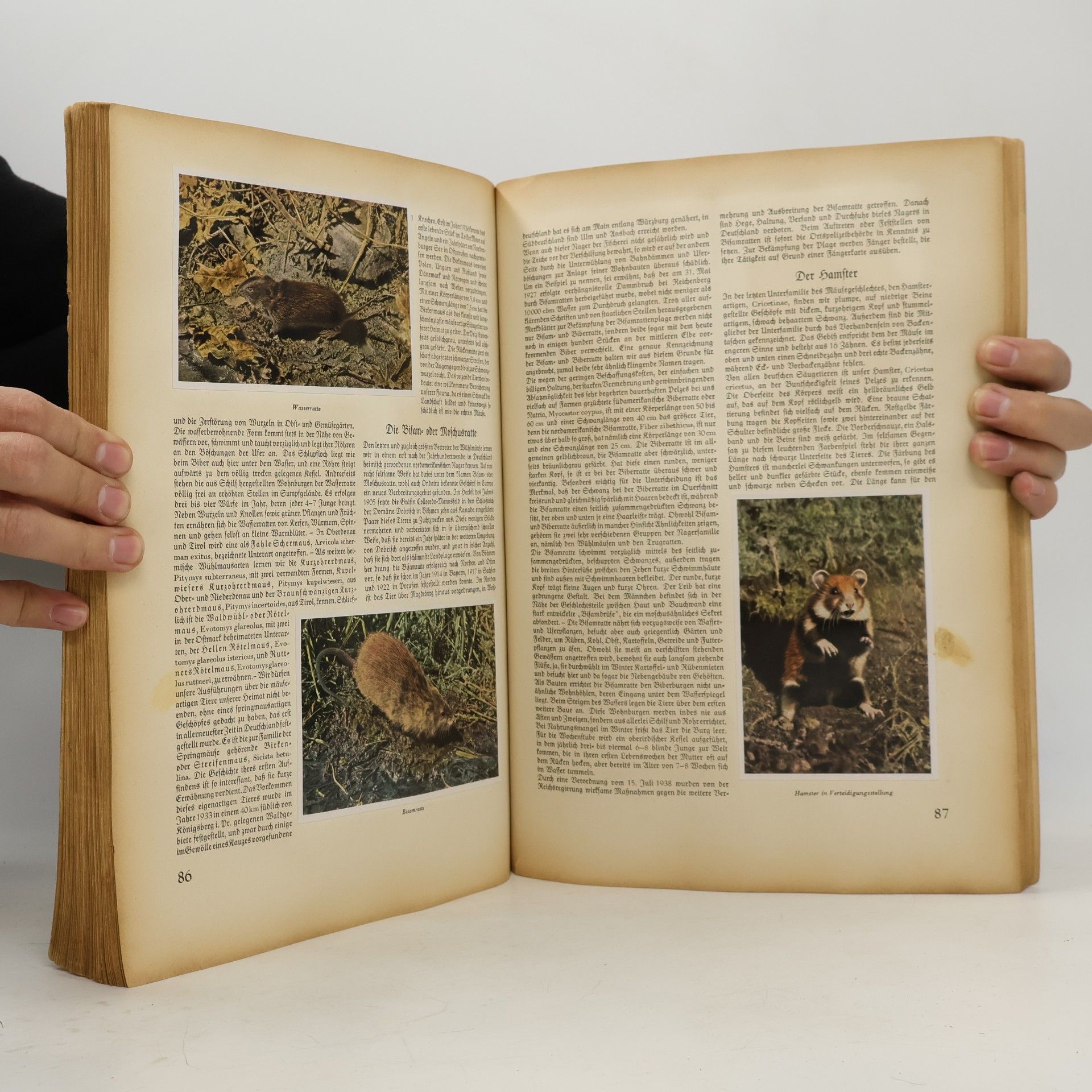 Autorenkollektiv Aus Wald und Flur