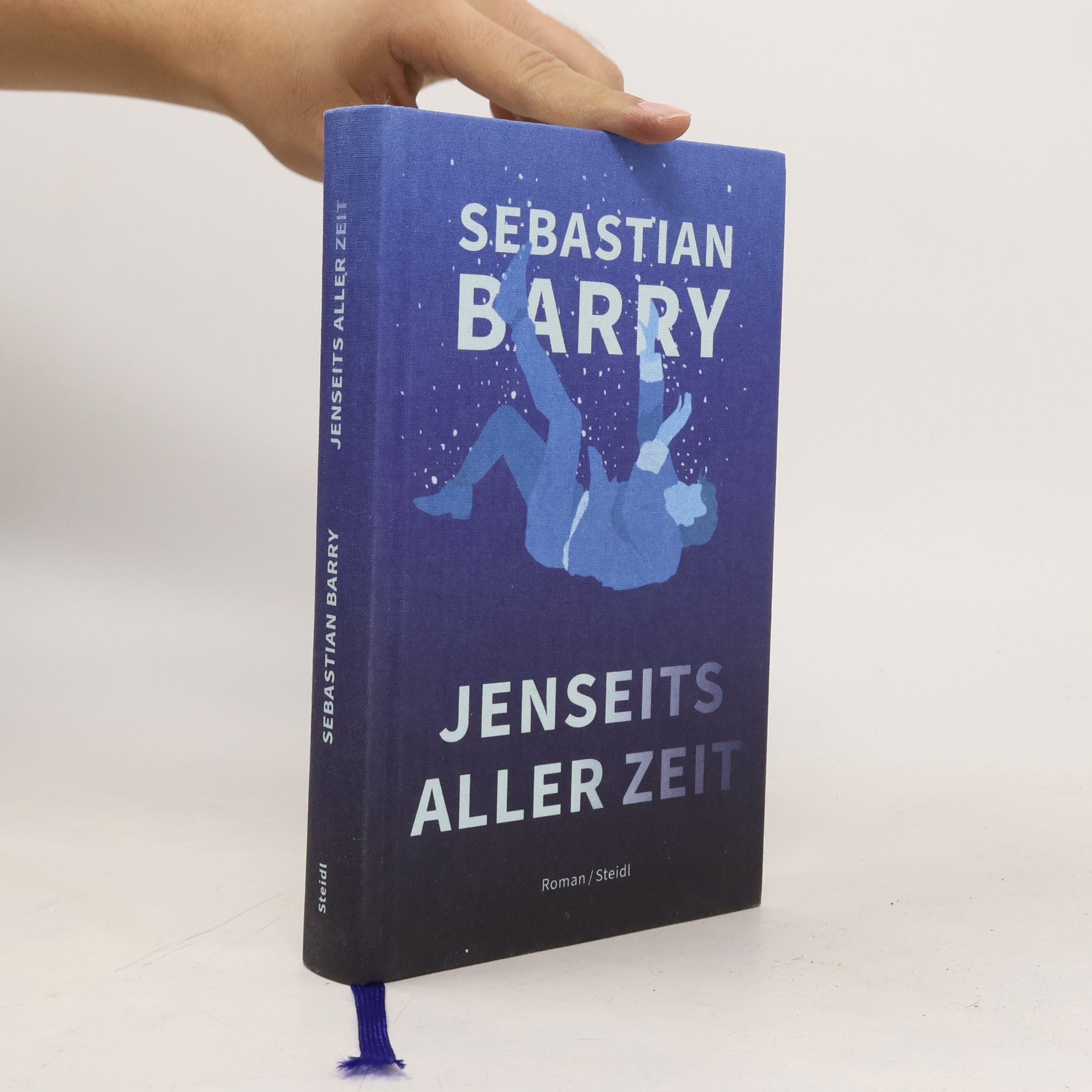 Sebastian Barry Jenseits aller Zeit