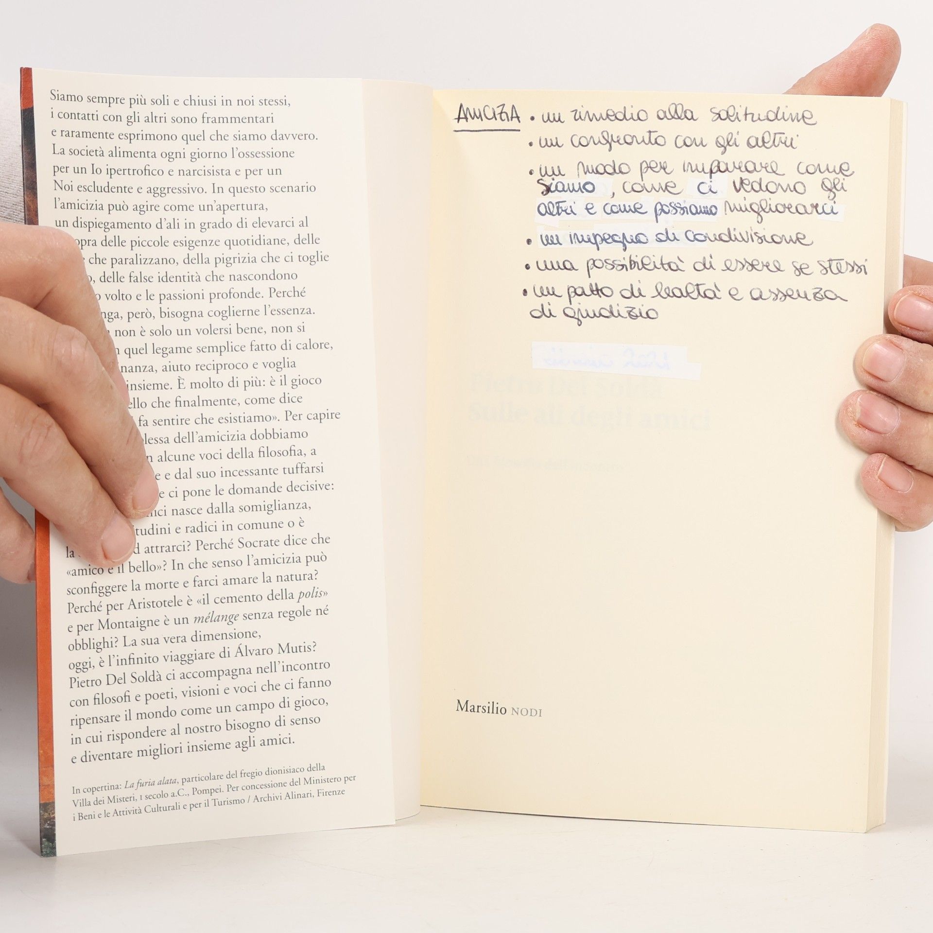 Pietro Del Soldà Sulle ali degli amici. Una filosofia dell'incontro