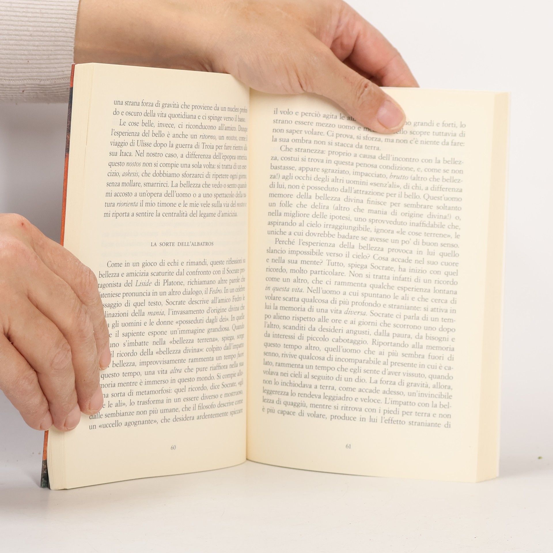 Pietro Del Soldà Sulle ali degli amici. Una filosofia dell'incontro