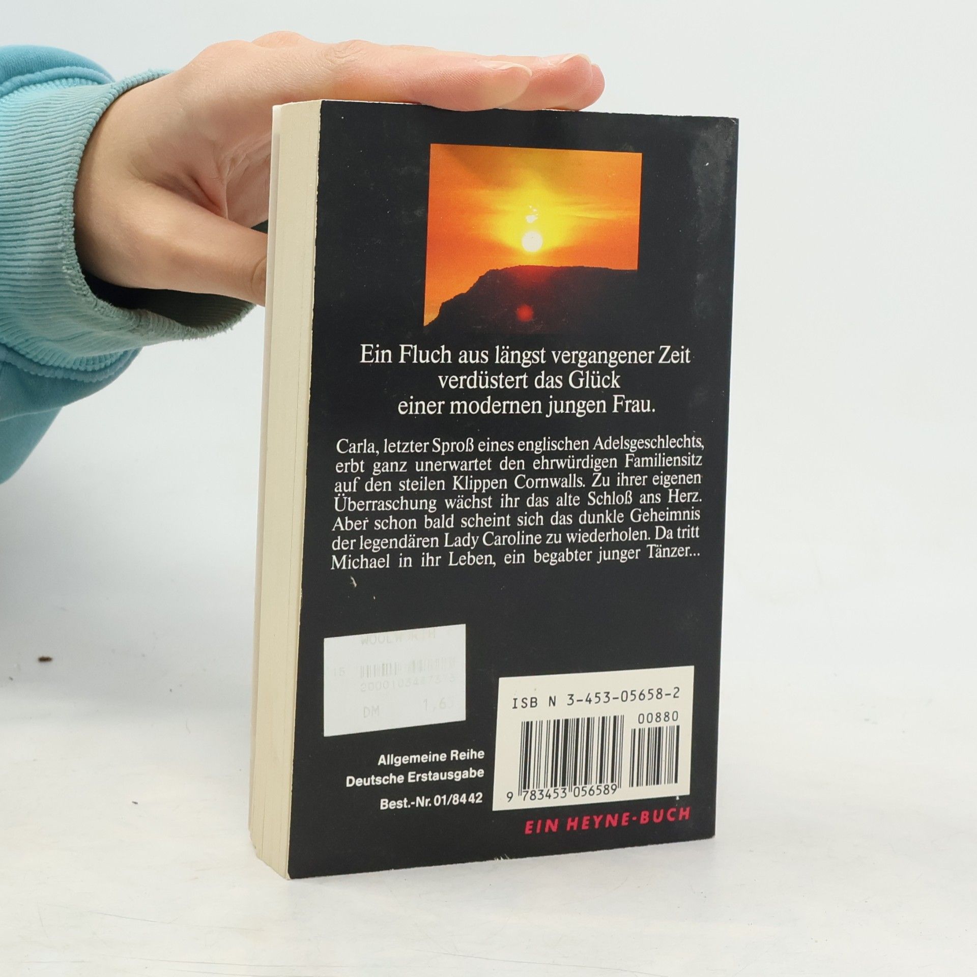 Barbara Michaels Heyne Allgemeine Reihe - 1: Tänzer des Glücks