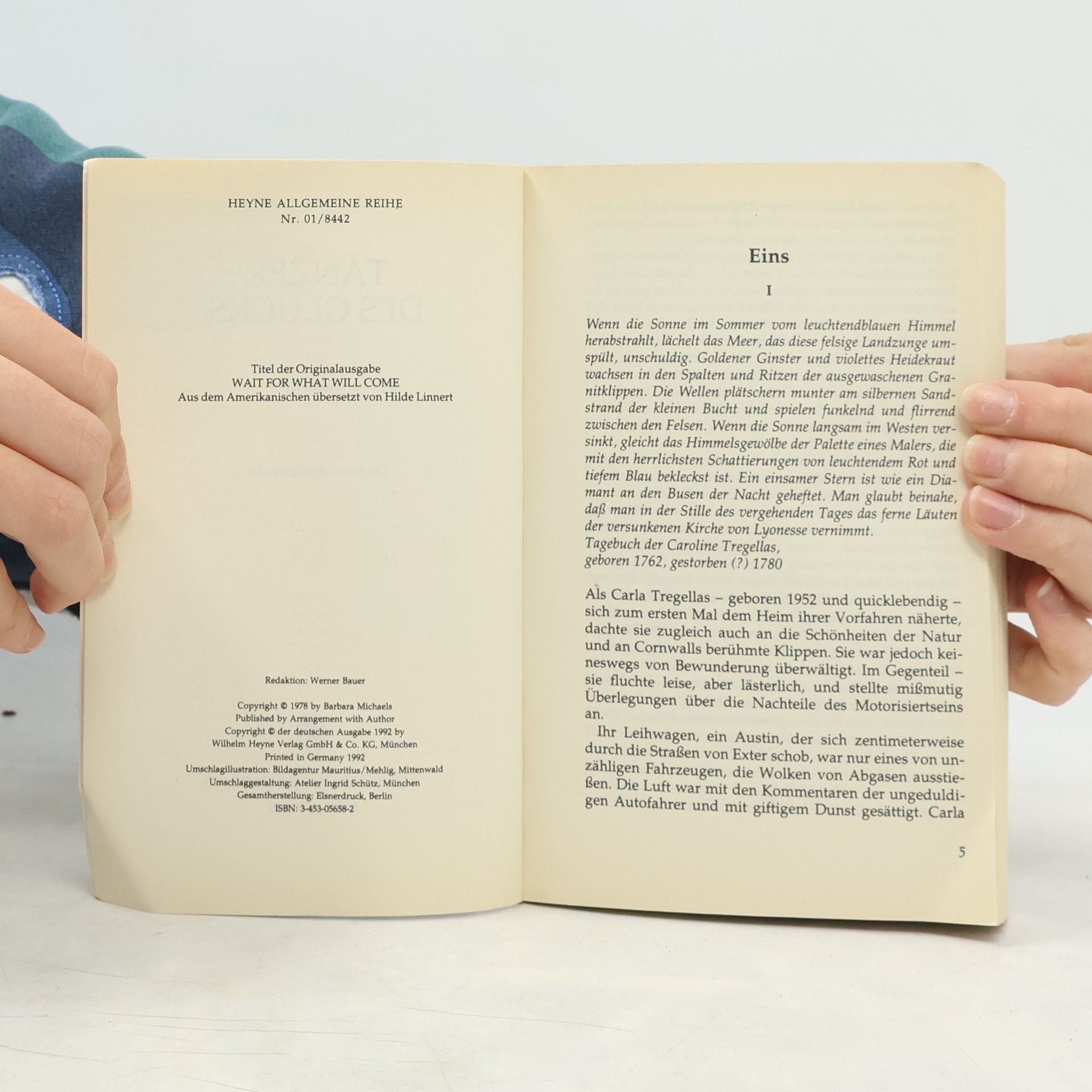 Barbara Michaels Heyne Allgemeine Reihe - 1: Tänzer des Glücks
