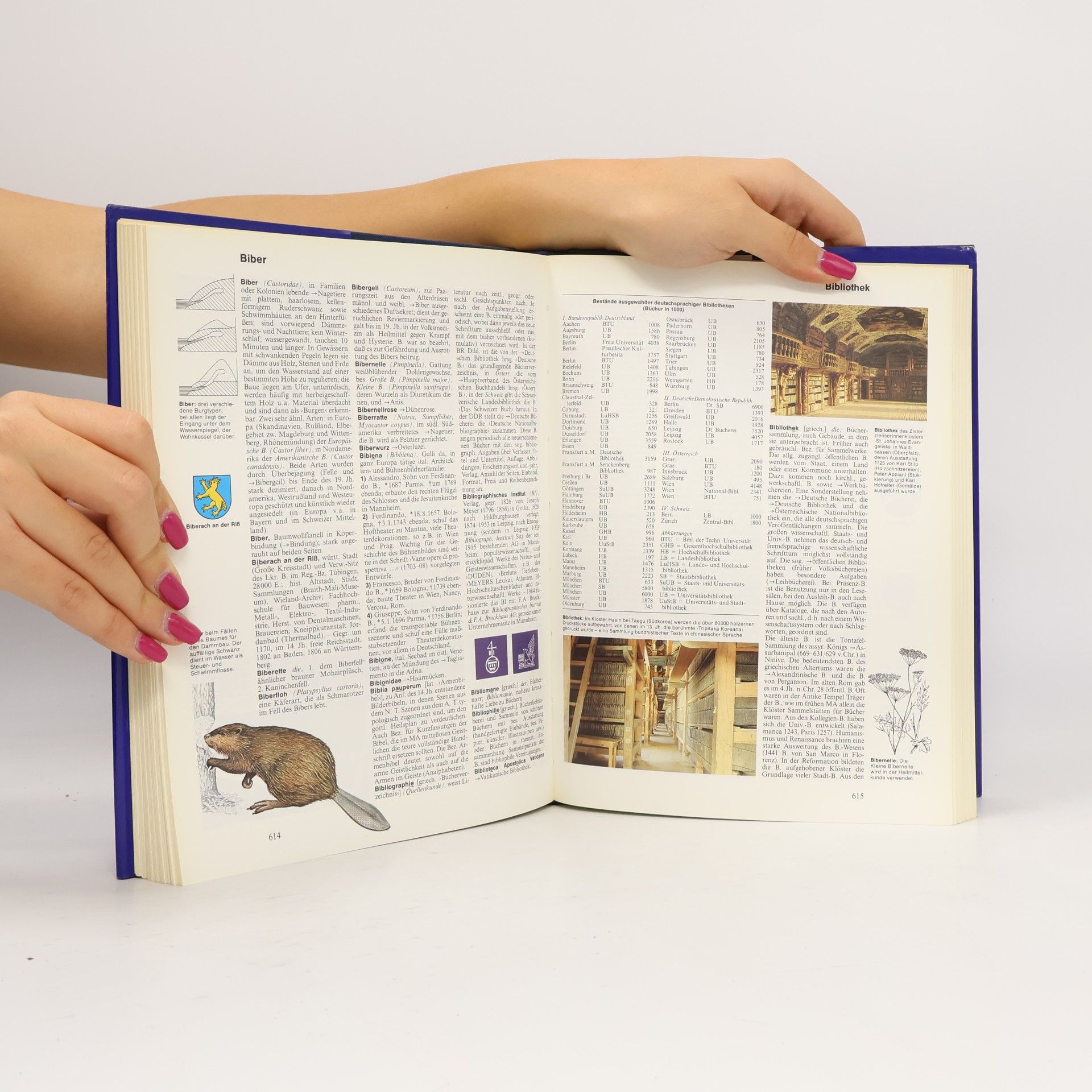 Autorenkollektiv Der Knaur. Universal Lexikon in 15 Bänden. 2