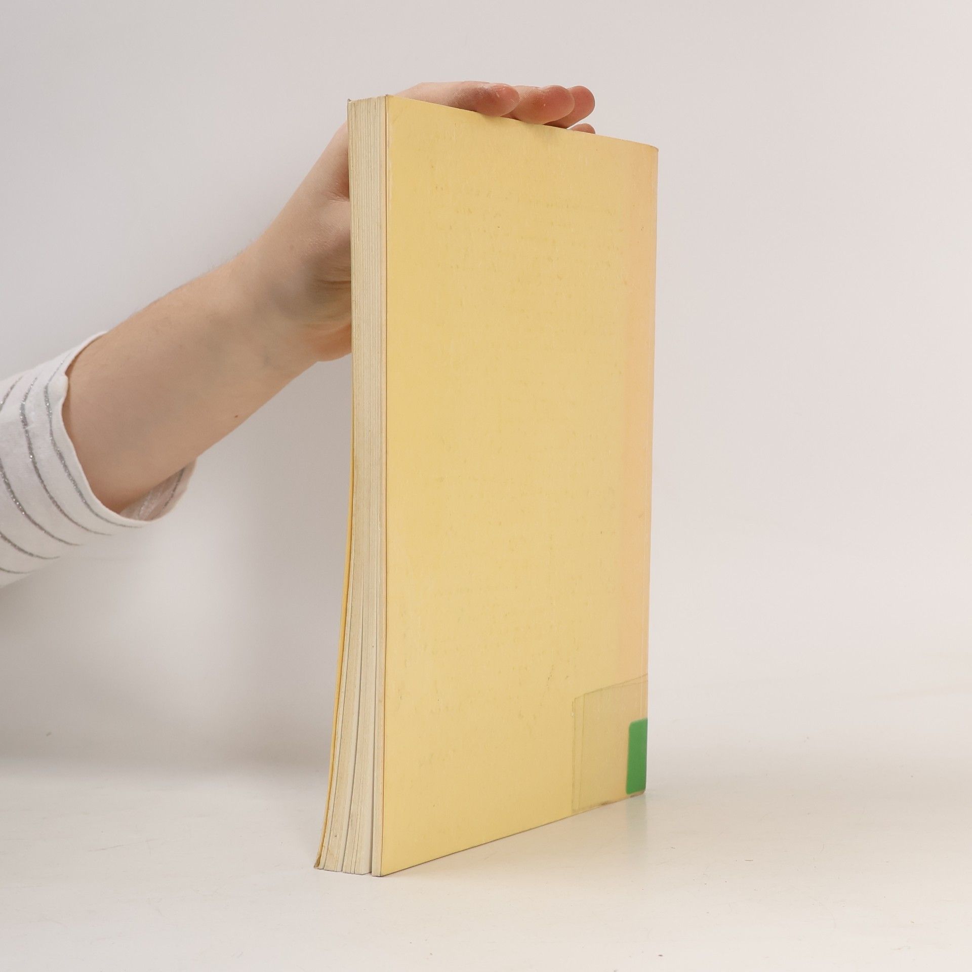 Werner Fassing Volkswirtschaftliche Schriften - 318: Wettbewerb, Unternehmenskonzentration und Investitionsverhalten
