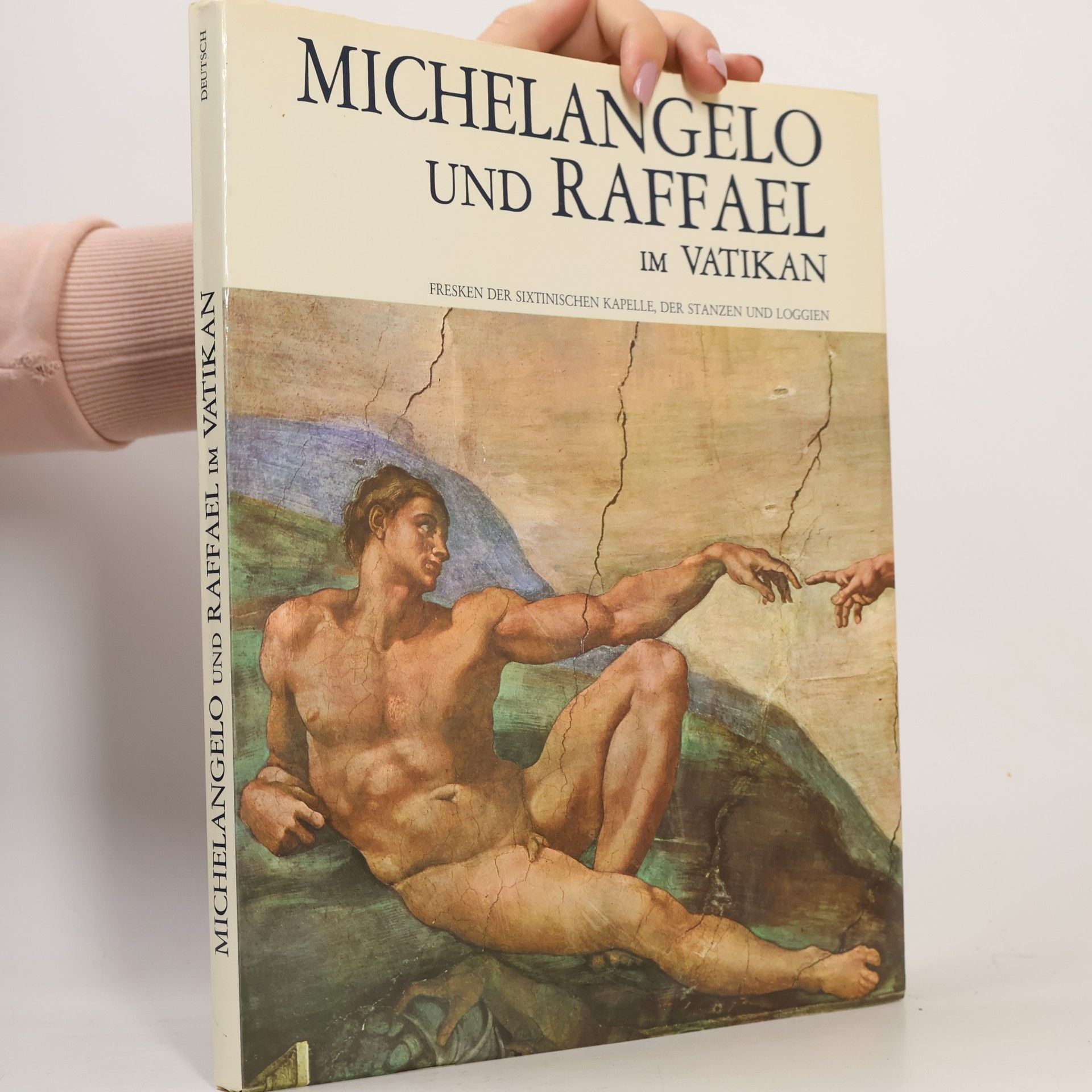 Various authors Michelangelo und Raffael im Vatikan