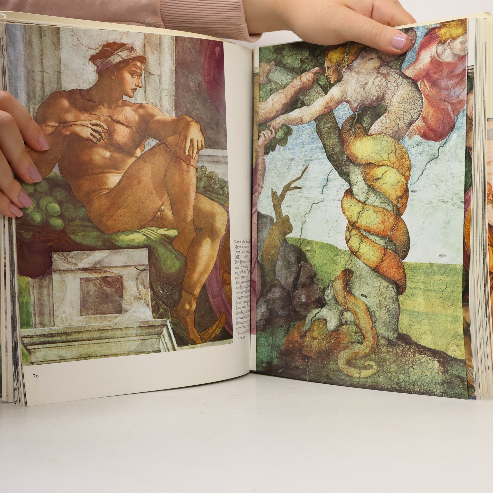 Various authors Michelangelo und Raffael im Vatikan