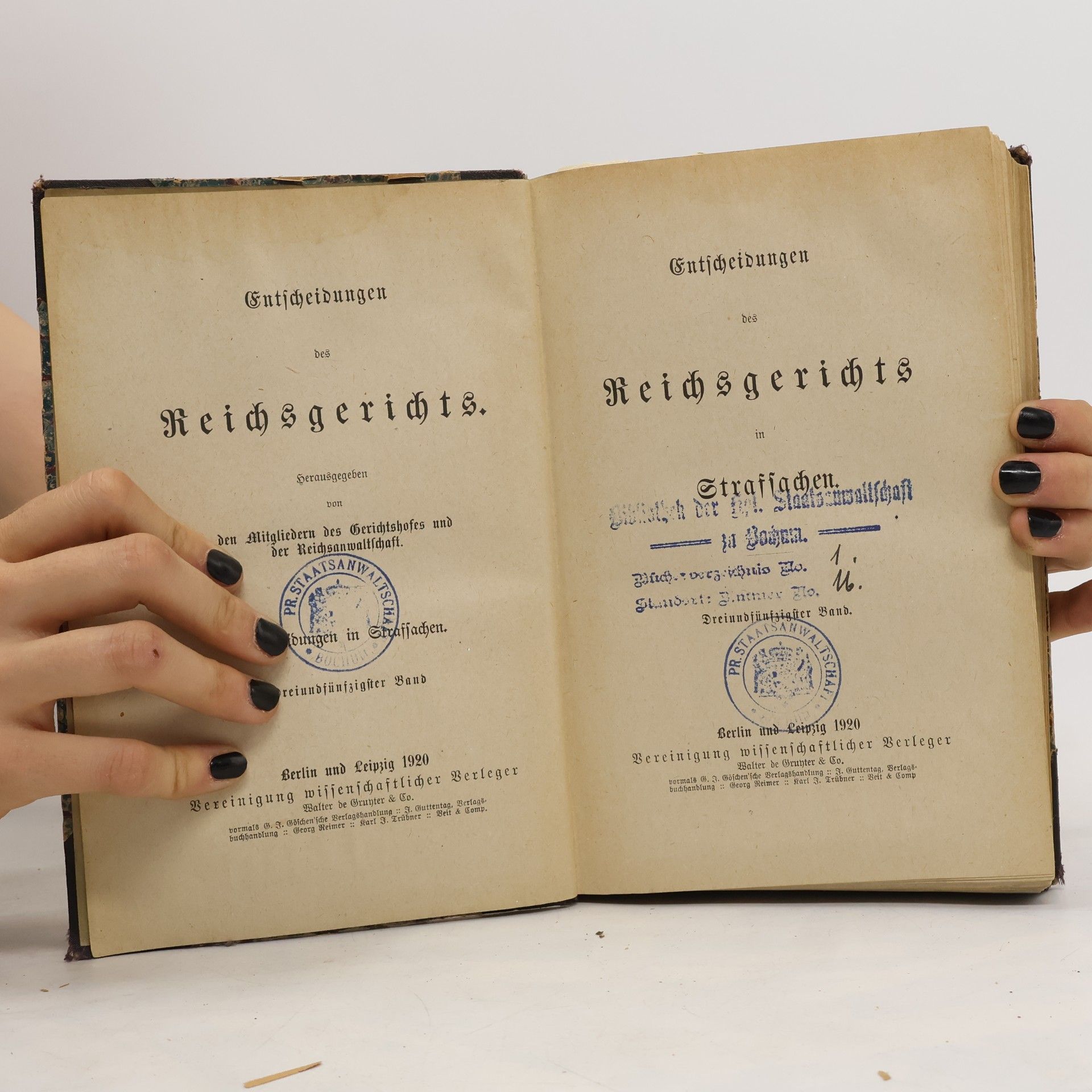 Various authors Entscheidungen des Reichsgerichts in Strafsachen. Dreiundfünfzigster Band