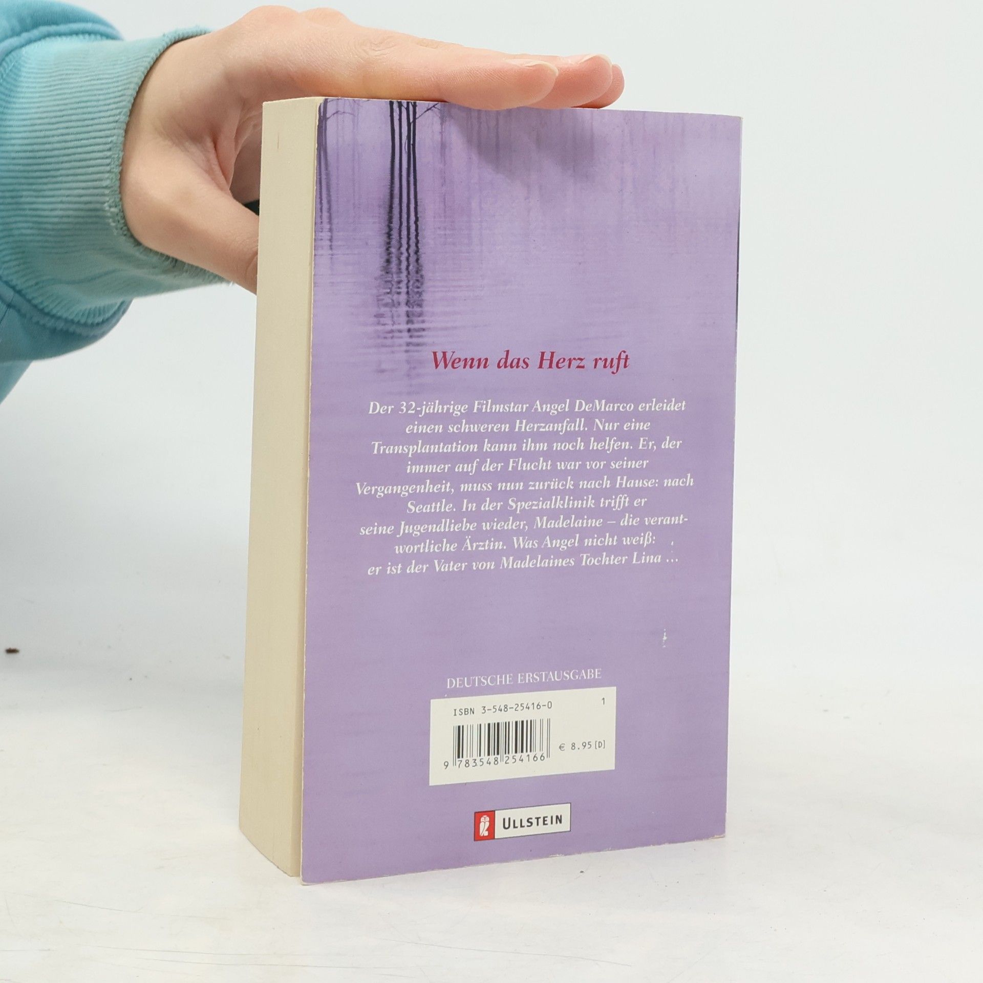 Kristin Hannah Wenn das Herz ruft