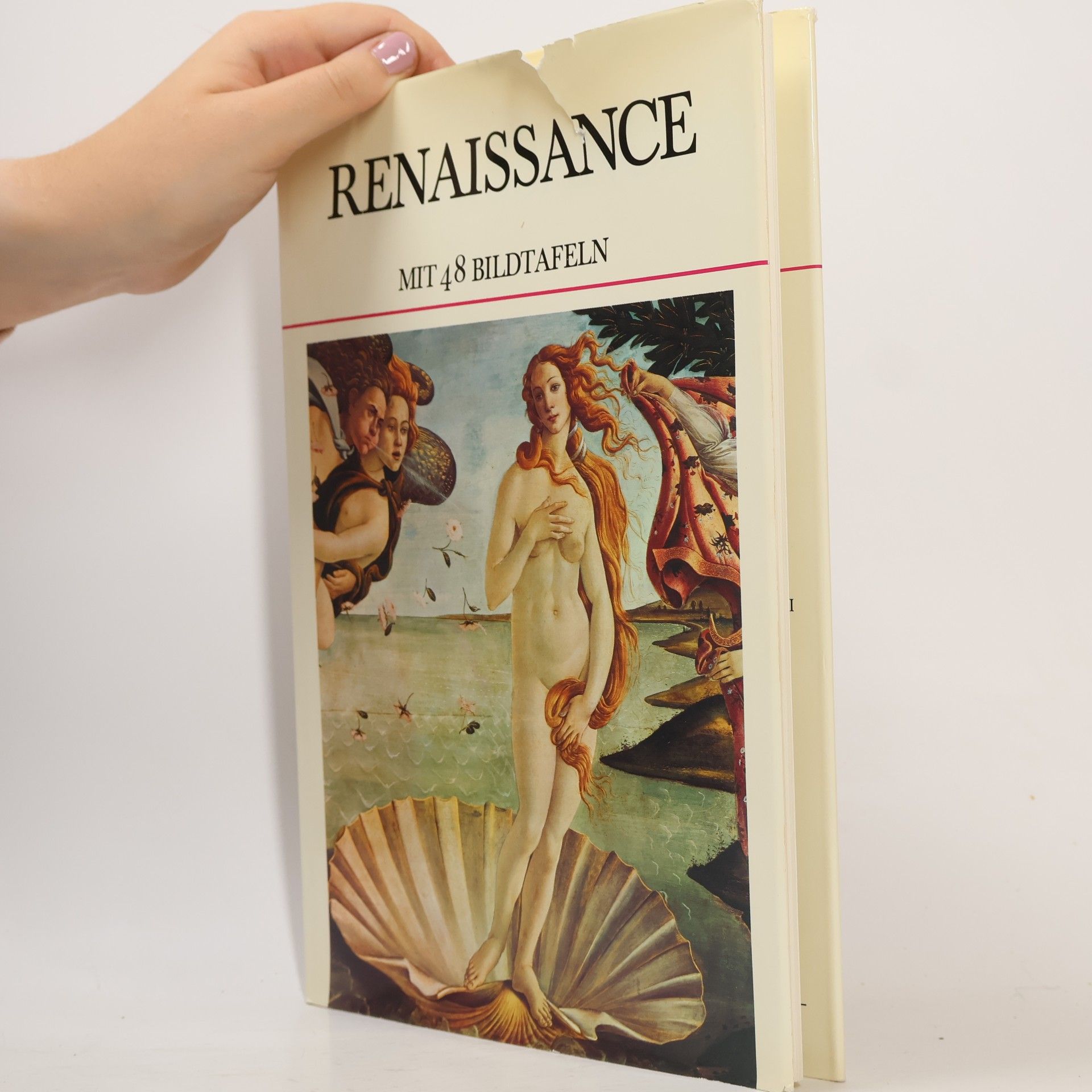 Autorenkollektiv Renaissance