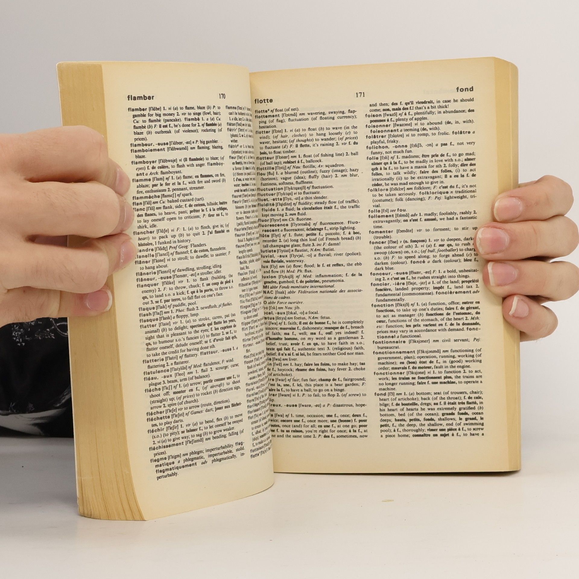 Patricia Forbes The Wordsworth French-English, English-French dictionary
