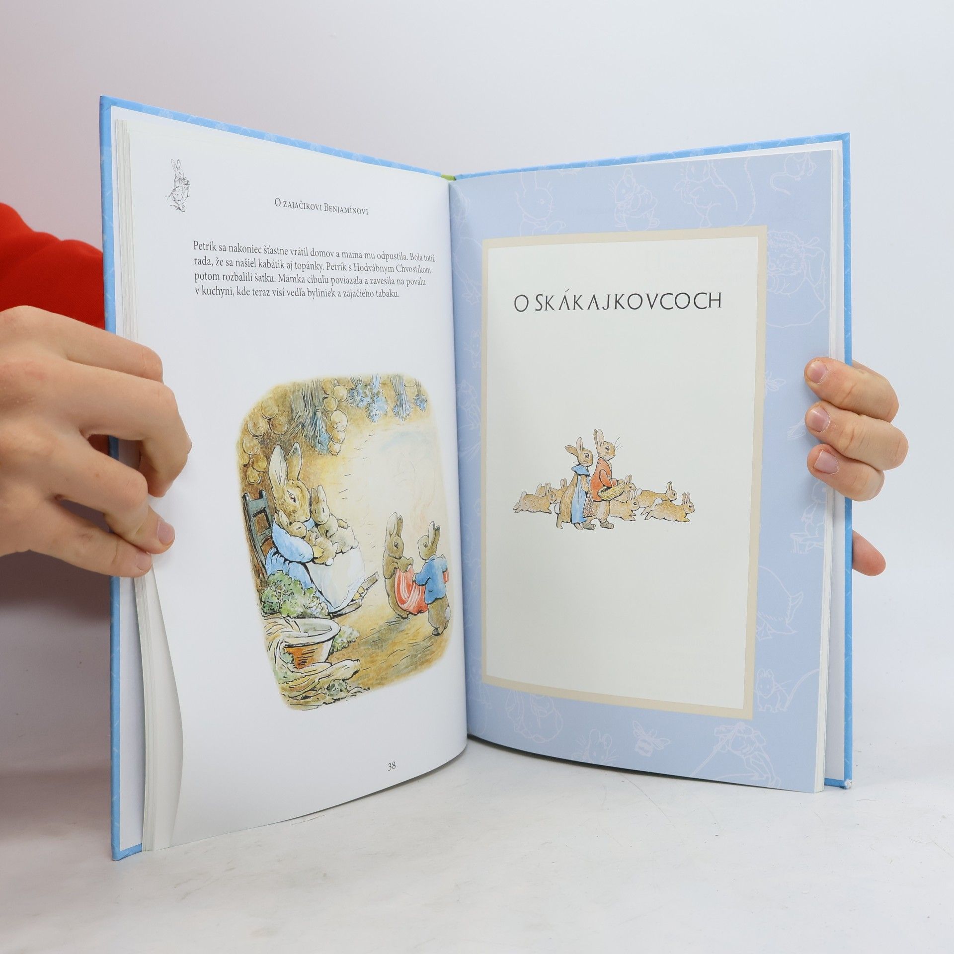 Beatrix Potter Dobrodružstvá zajačika Petríka