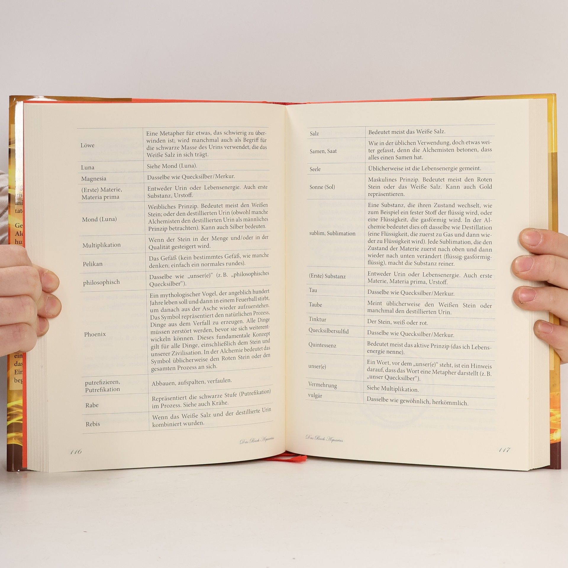 Th. Kirschner Das Buch Aquarius