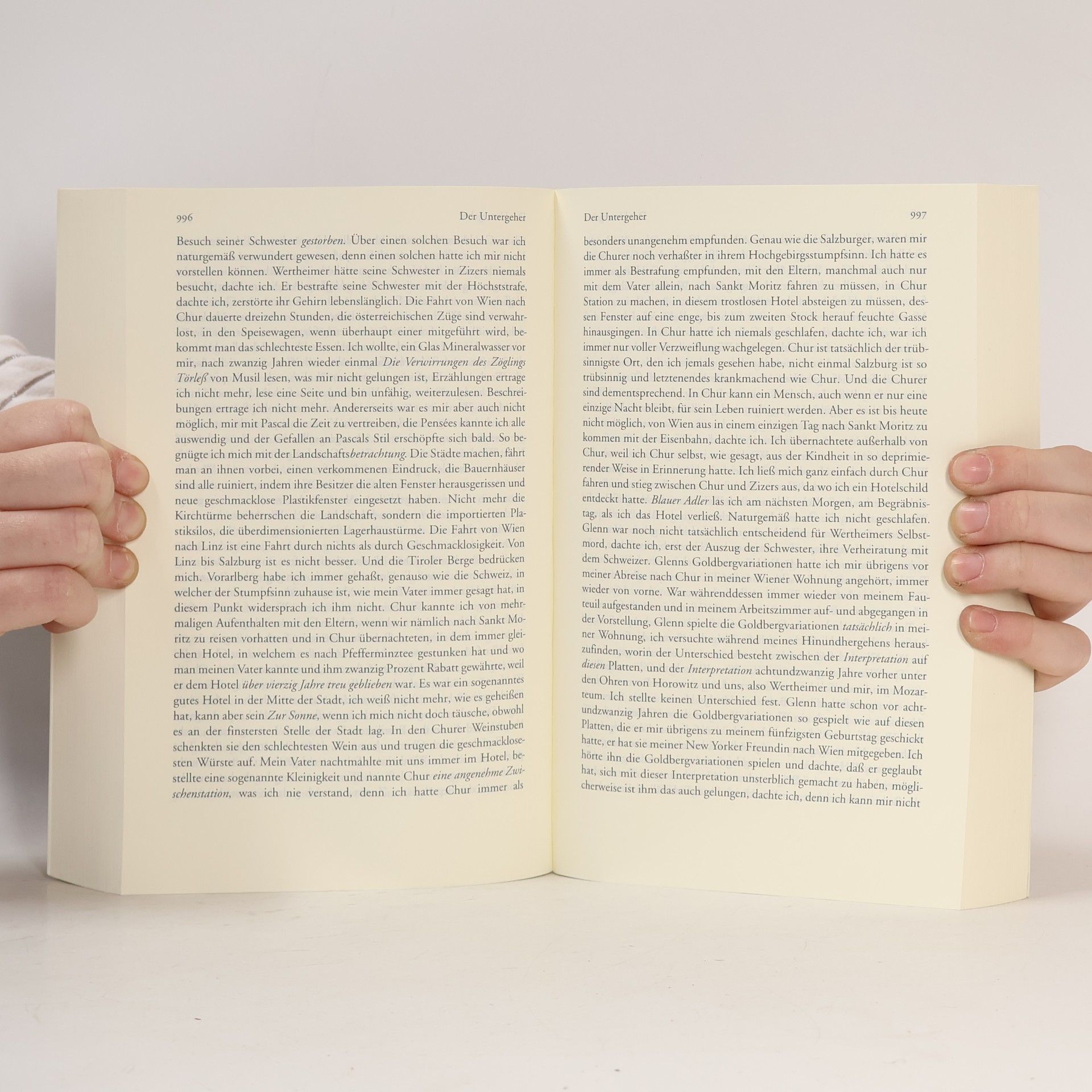 Thomas Bernhard Die Romane