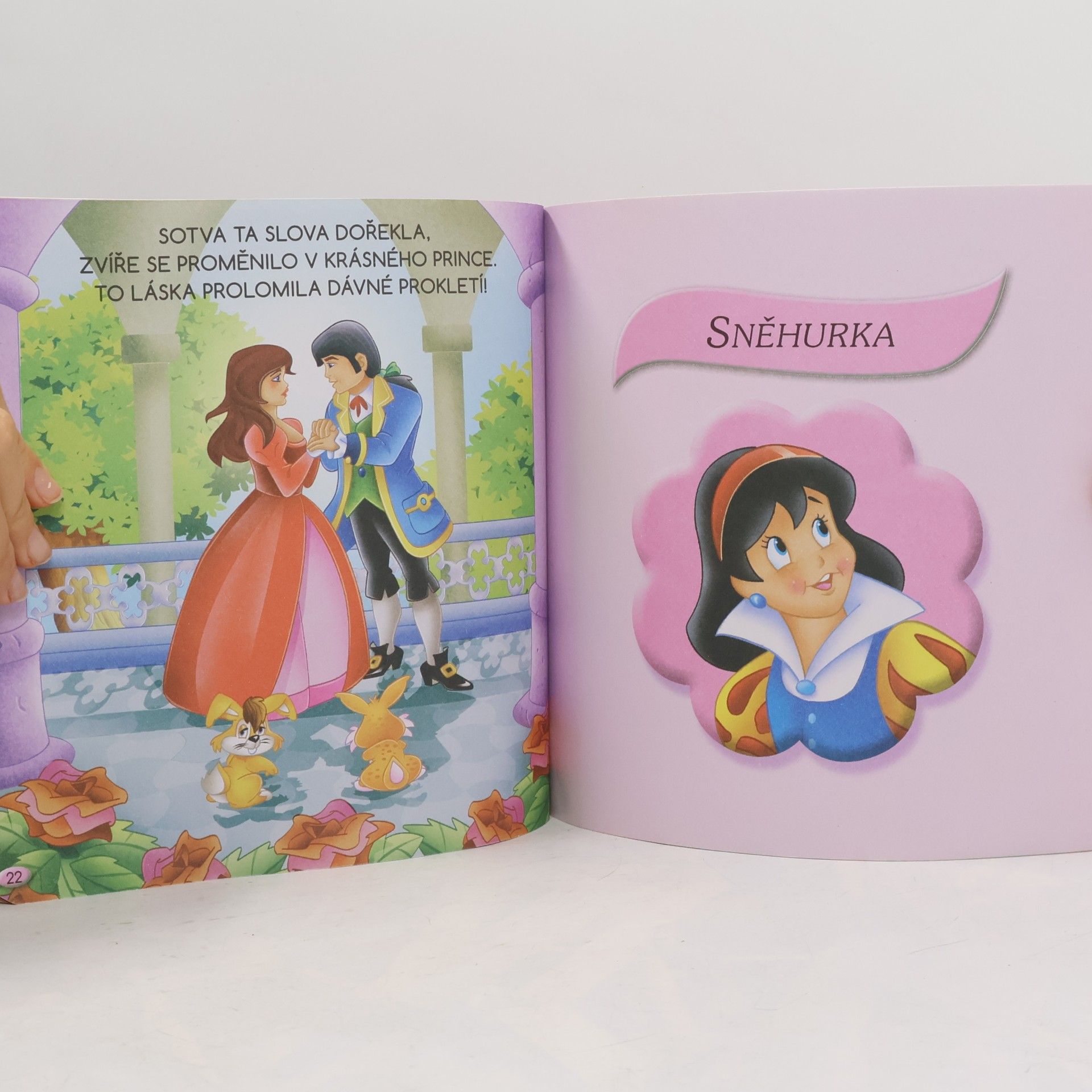 Various authors Mé první čtení o princeznách
