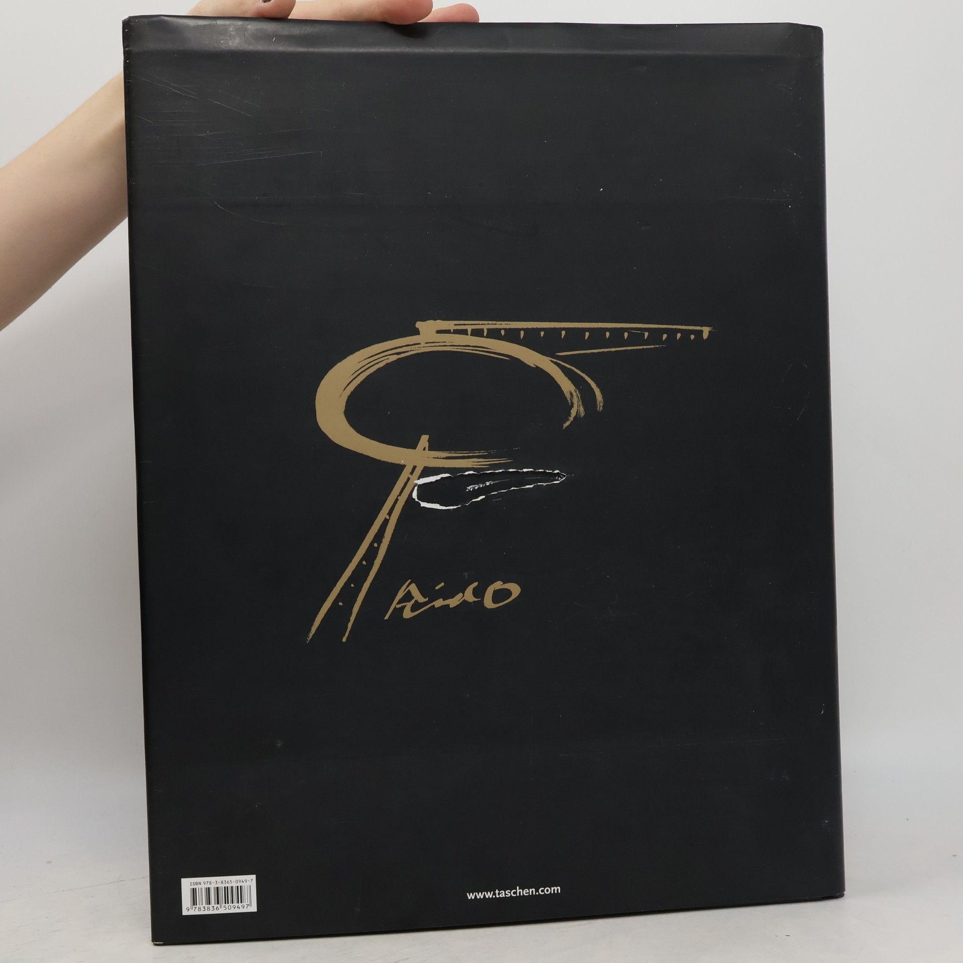 Philip Jodidio Ando Complete Works 1975-2010