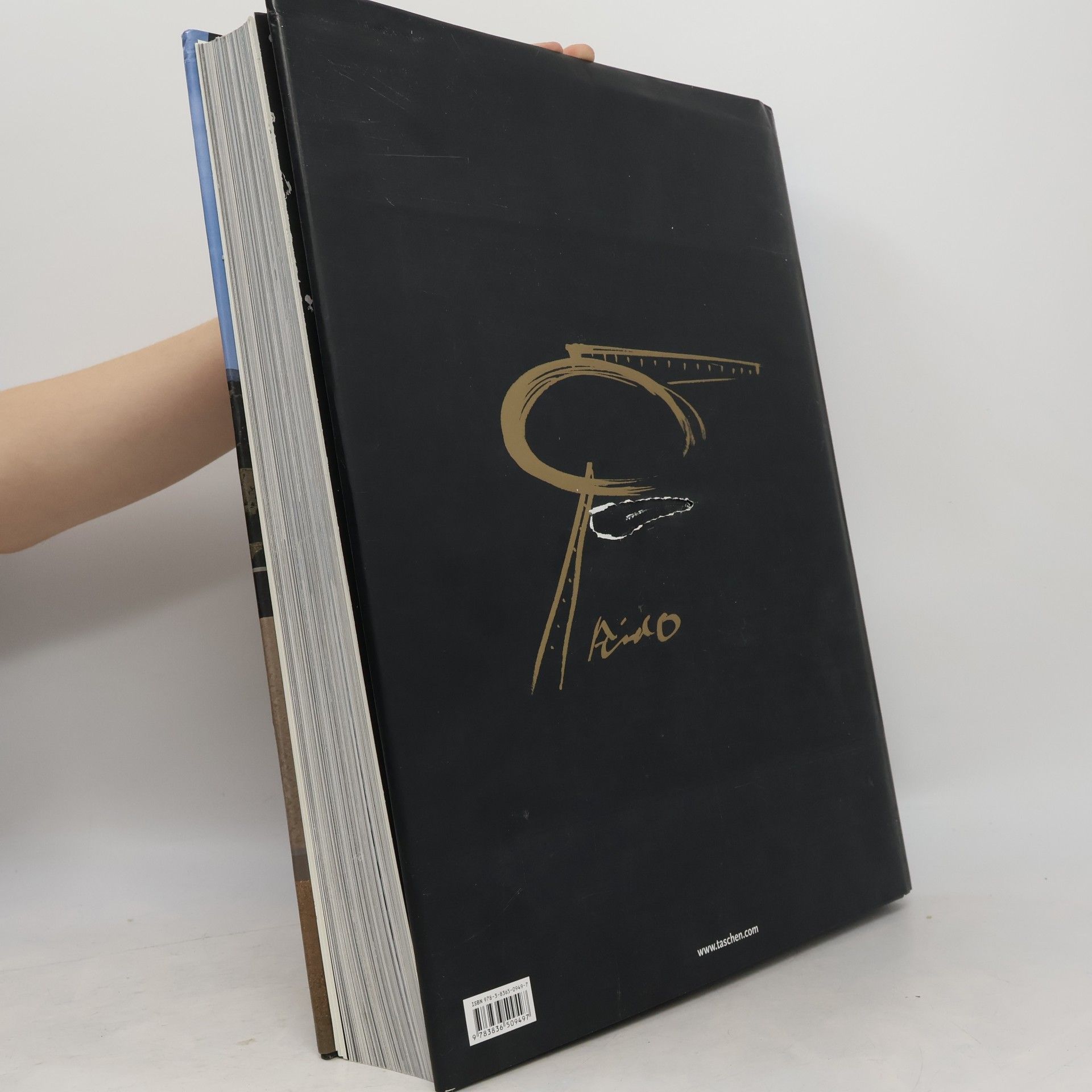 Philip Jodidio Ando Complete Works 1975-2010