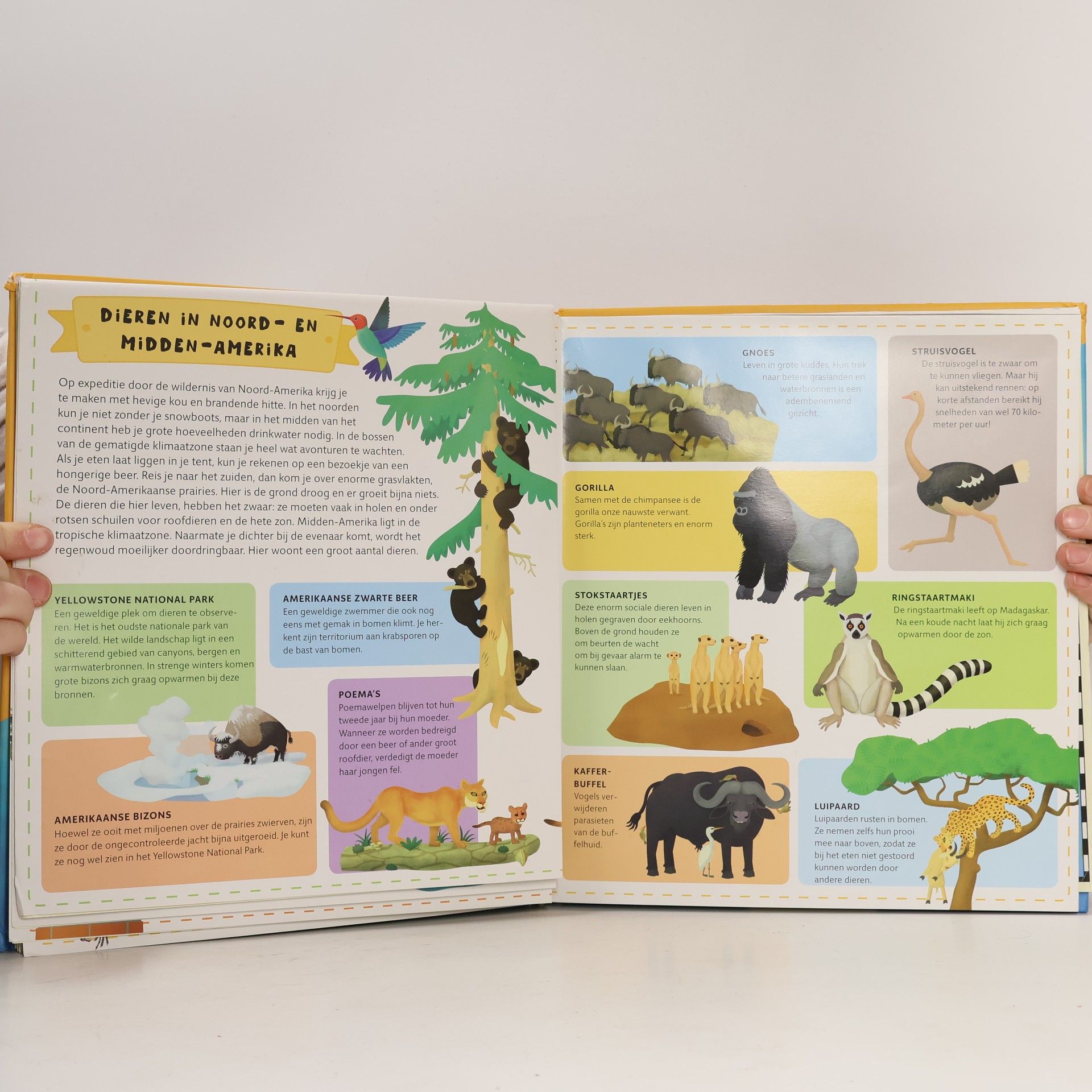Tomáš Tůma Dierenatlas